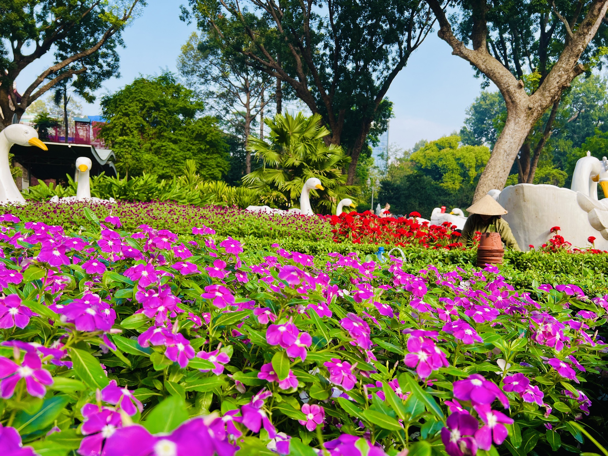 Check-in vườn hoa hướng dương rực rỡ đón năm mới ở Thảo Cầm Viên Sài Gòn- Ảnh 8.