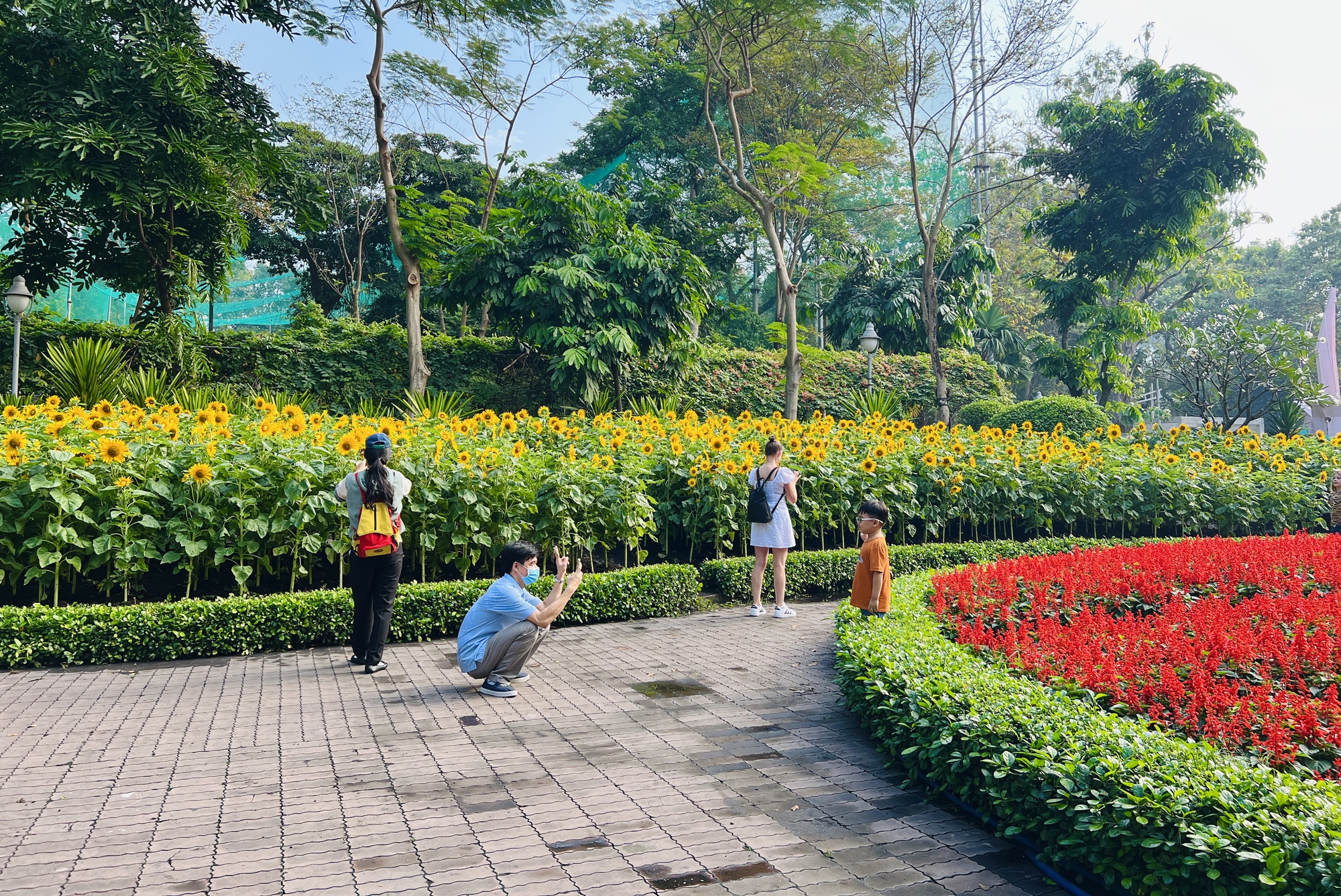 Check-in vườn hoa hướng dương rực rỡ đón năm mới ở Thảo Cầm Viên Sài Gòn- Ảnh 3.