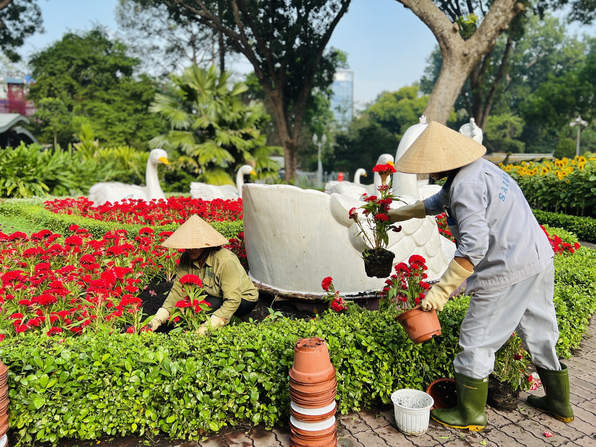 Check-in vườn hoa hướng dương rực rỡ đón năm mới ở Thảo Cầm Viên Sài Gòn- Ảnh 9.