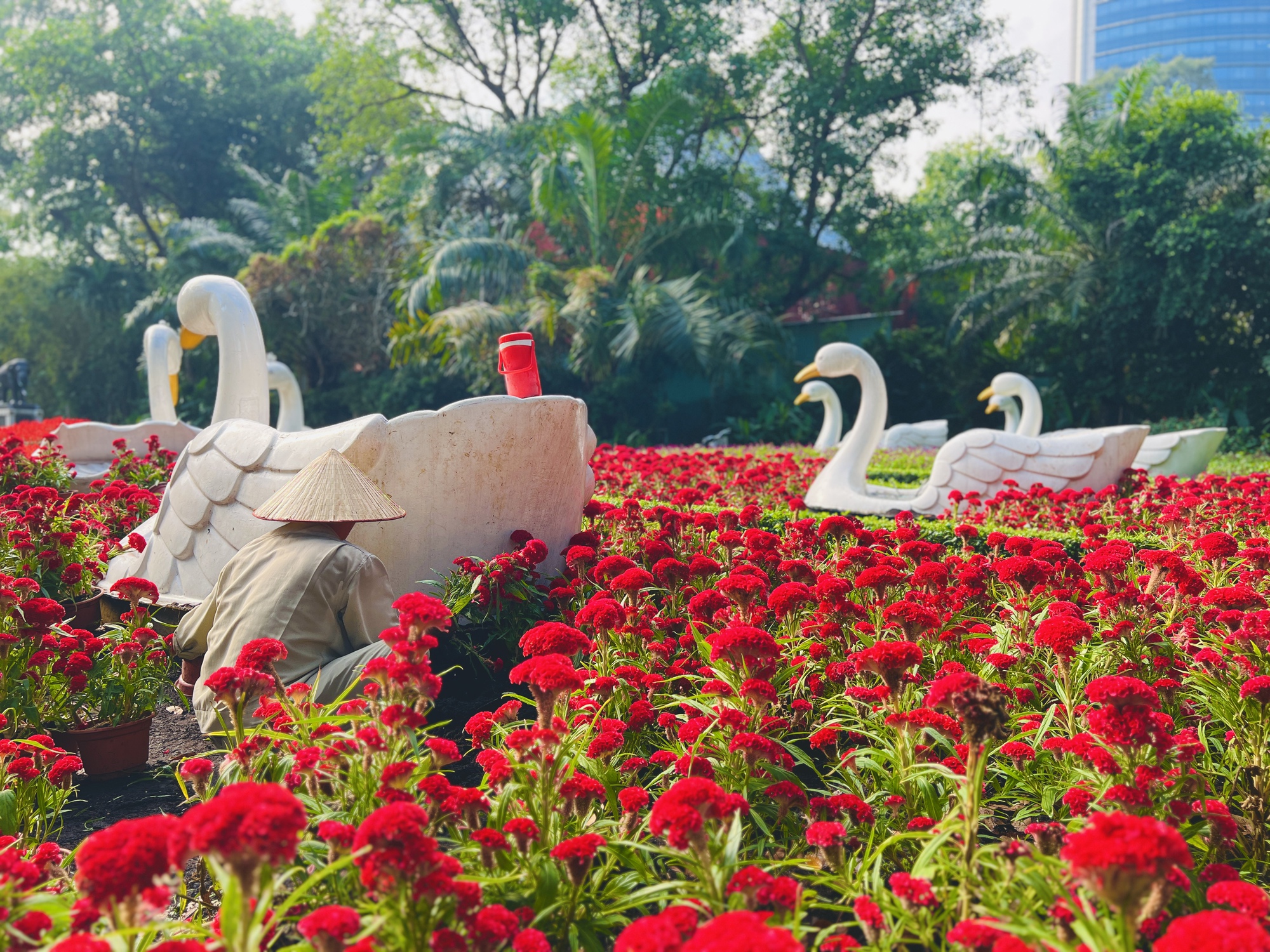 Check-in vườn hoa hướng dương rực rỡ đón năm mới ở Thảo Cầm Viên Sài Gòn- Ảnh 10.