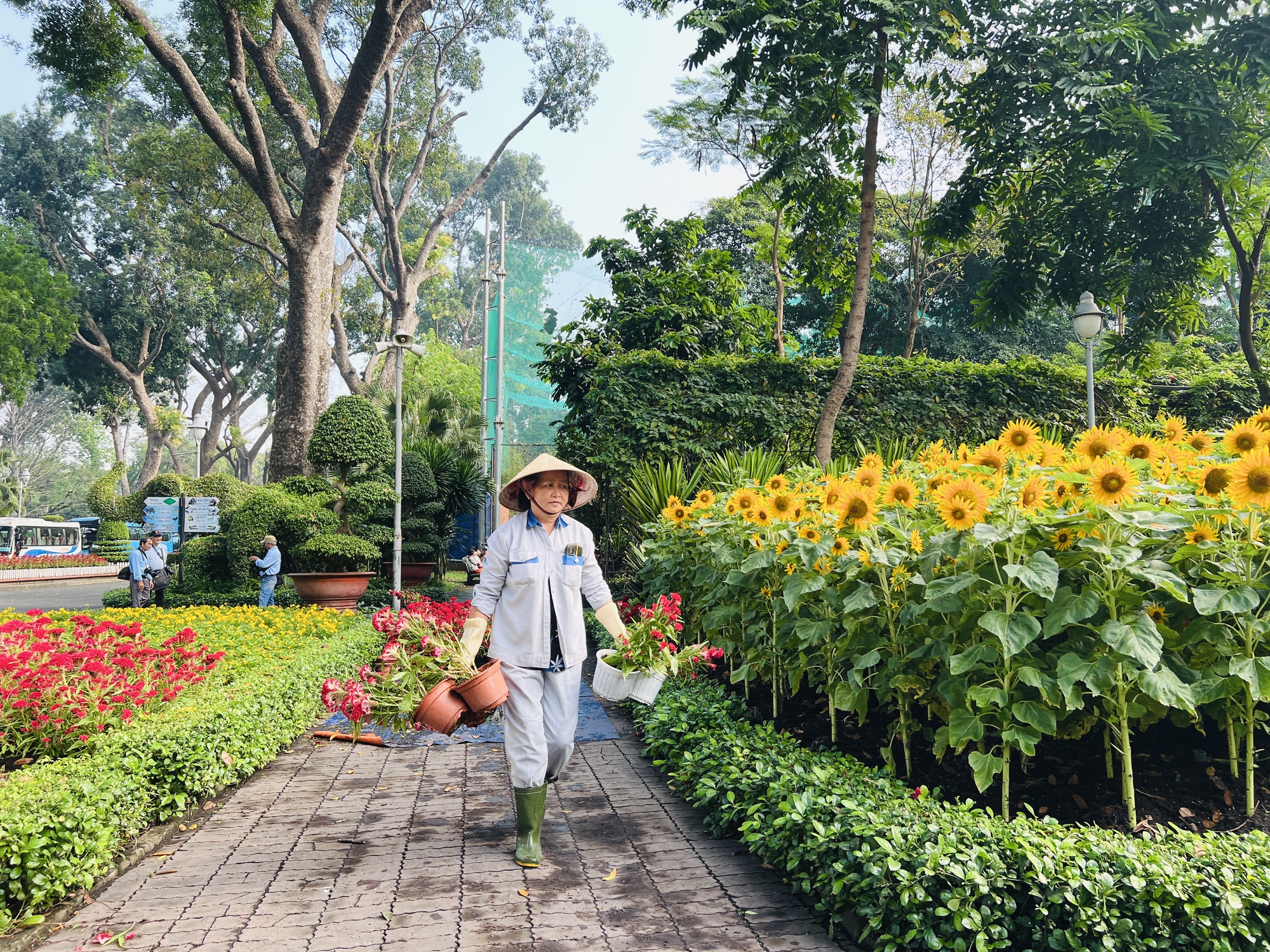 Check-in vườn hoa hướng dương rực rỡ đón năm mới ở Thảo Cầm Viên Sài Gòn- Ảnh 2.
