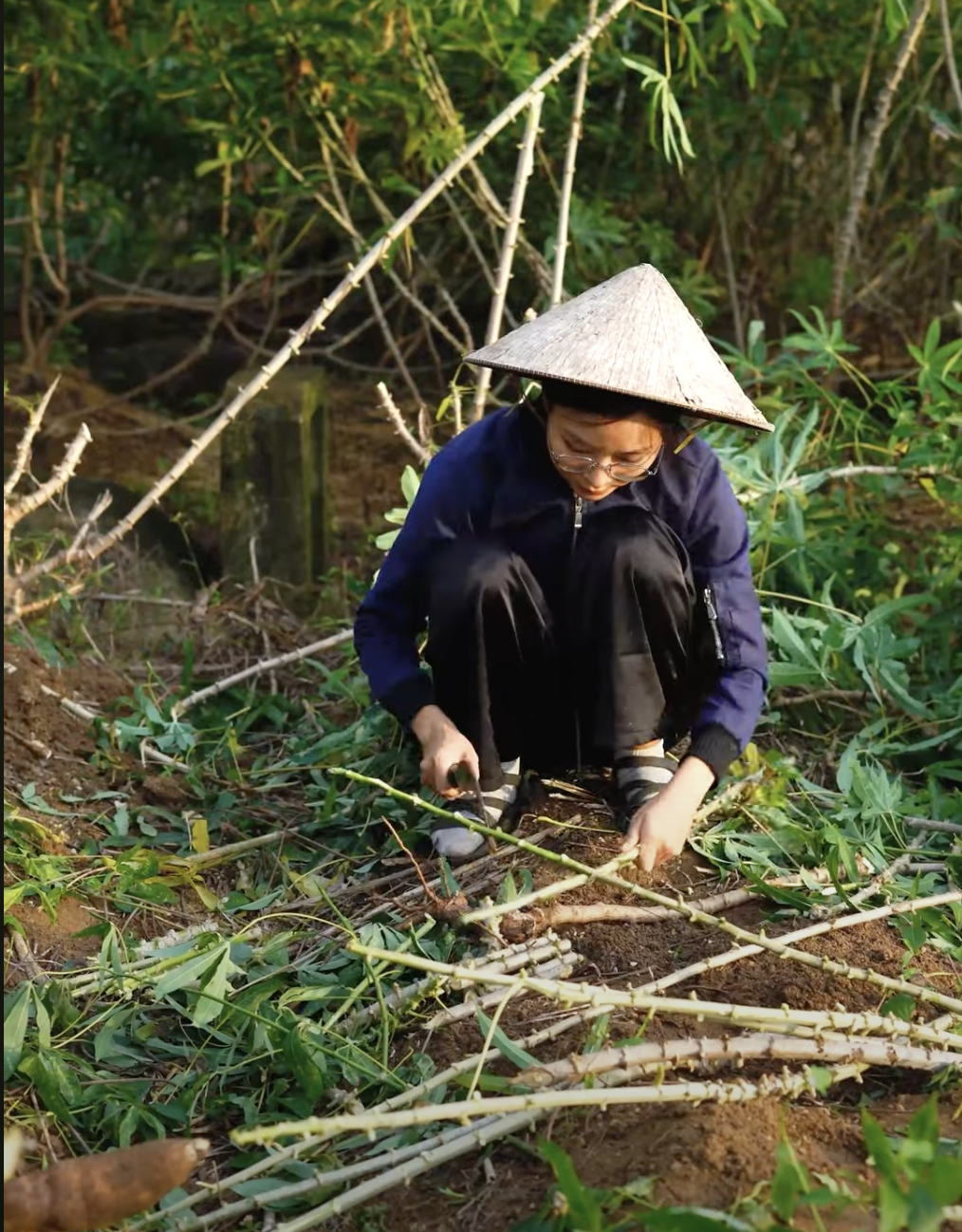 Mẹo làm cành đào siêu đẹp của Út về vườn, tết khỏi tốn tiền mua hoa chưng- Ảnh 1.