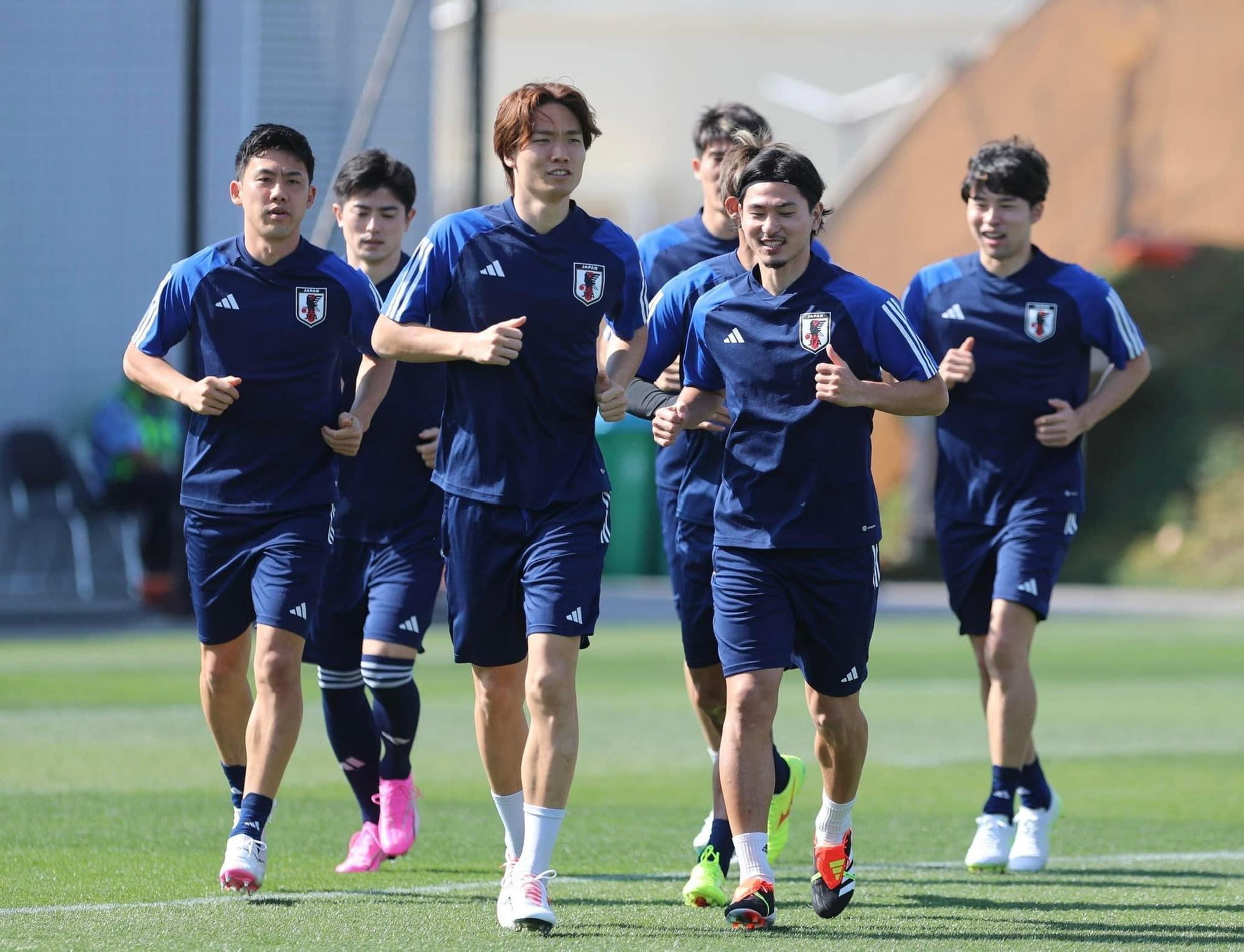 Mục sở thị đội tuyển Nhật Bản tại Qatar, nhân sự đắt giá nhất Asian Cup 317 triệu euro- Ảnh 1.