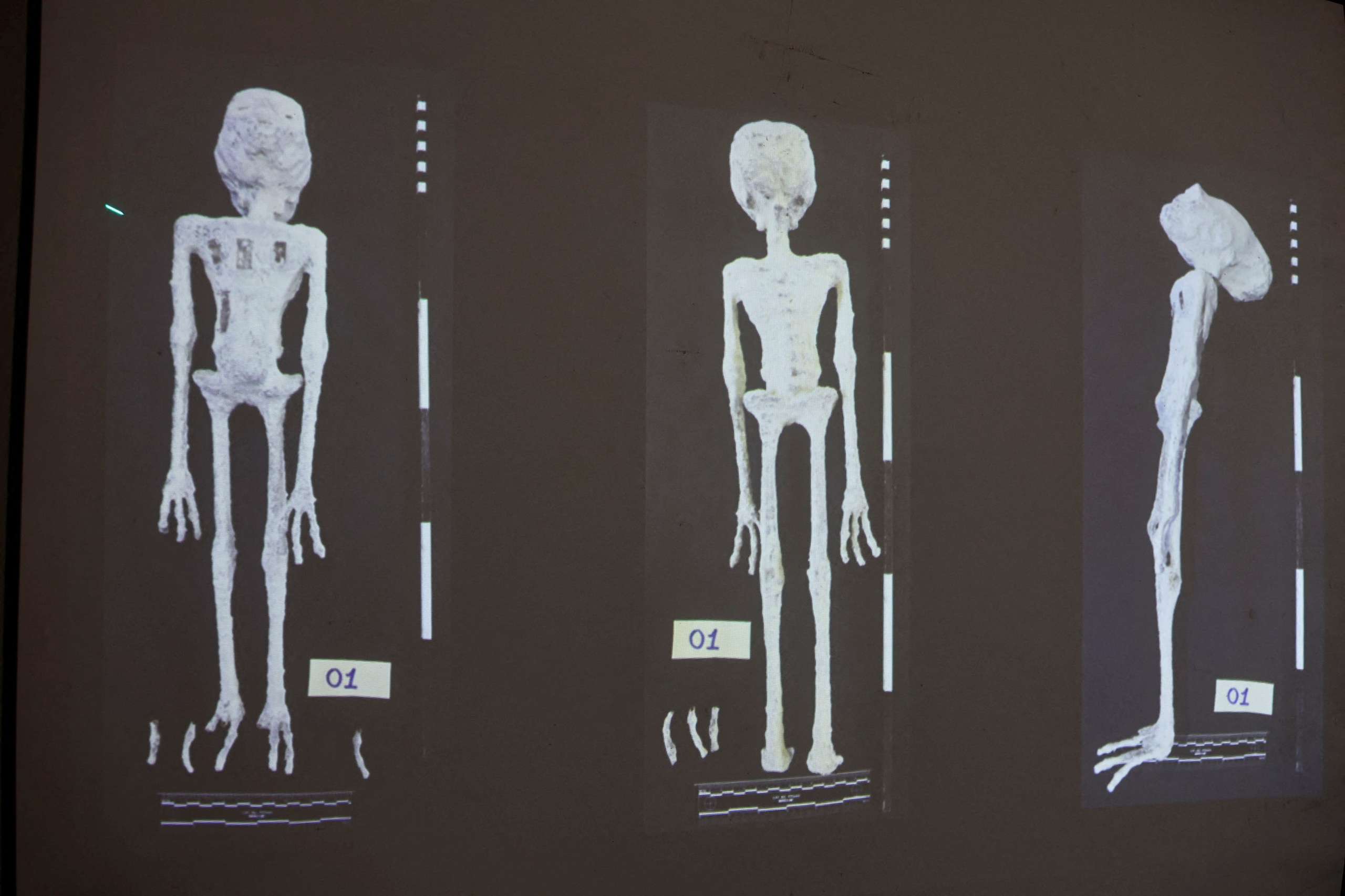 Bất ngờ nguồn gốc 'xác ướp người ngoài hành tinh' ở Peru- Ảnh 1.
