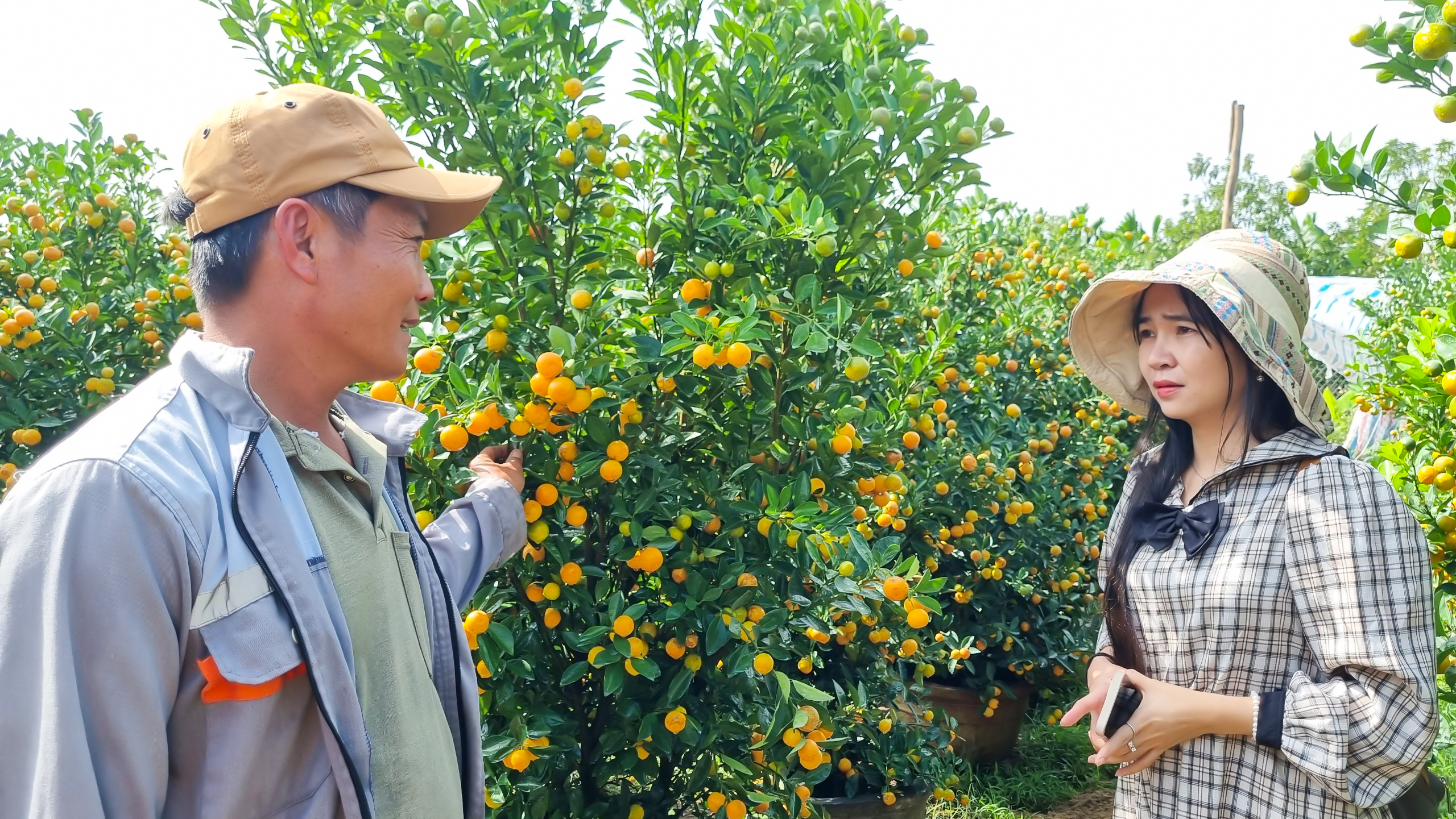 Vườn quất cả trăm triệu đầy ắp trái sum sê vàng óng, đón Tết Nguyên đán 2024- Ảnh 3.