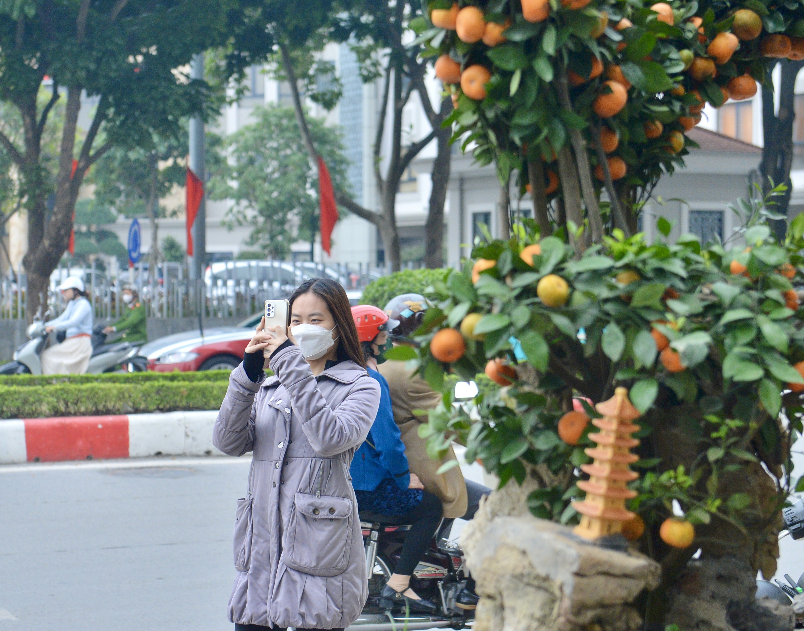 Chiêm ngưỡng cặp quýt hình rồng 'hét giá' 200 triệu trên phố Hà Nội- Ảnh 9.