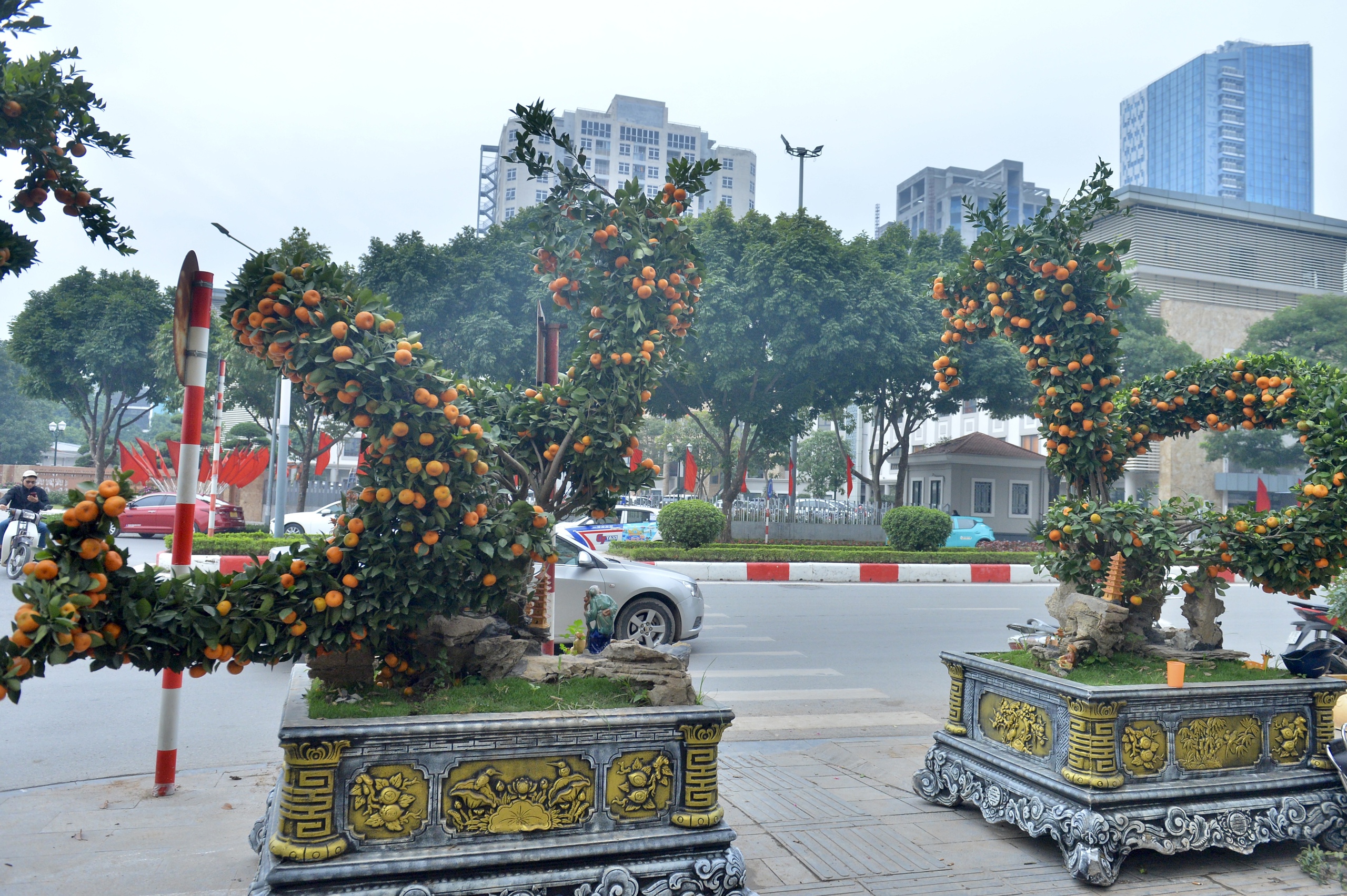 Chiêm ngưỡng cặp quýt hình rồng 'hét giá' 200 triệu trên phố Hà Nội- Ảnh 10.