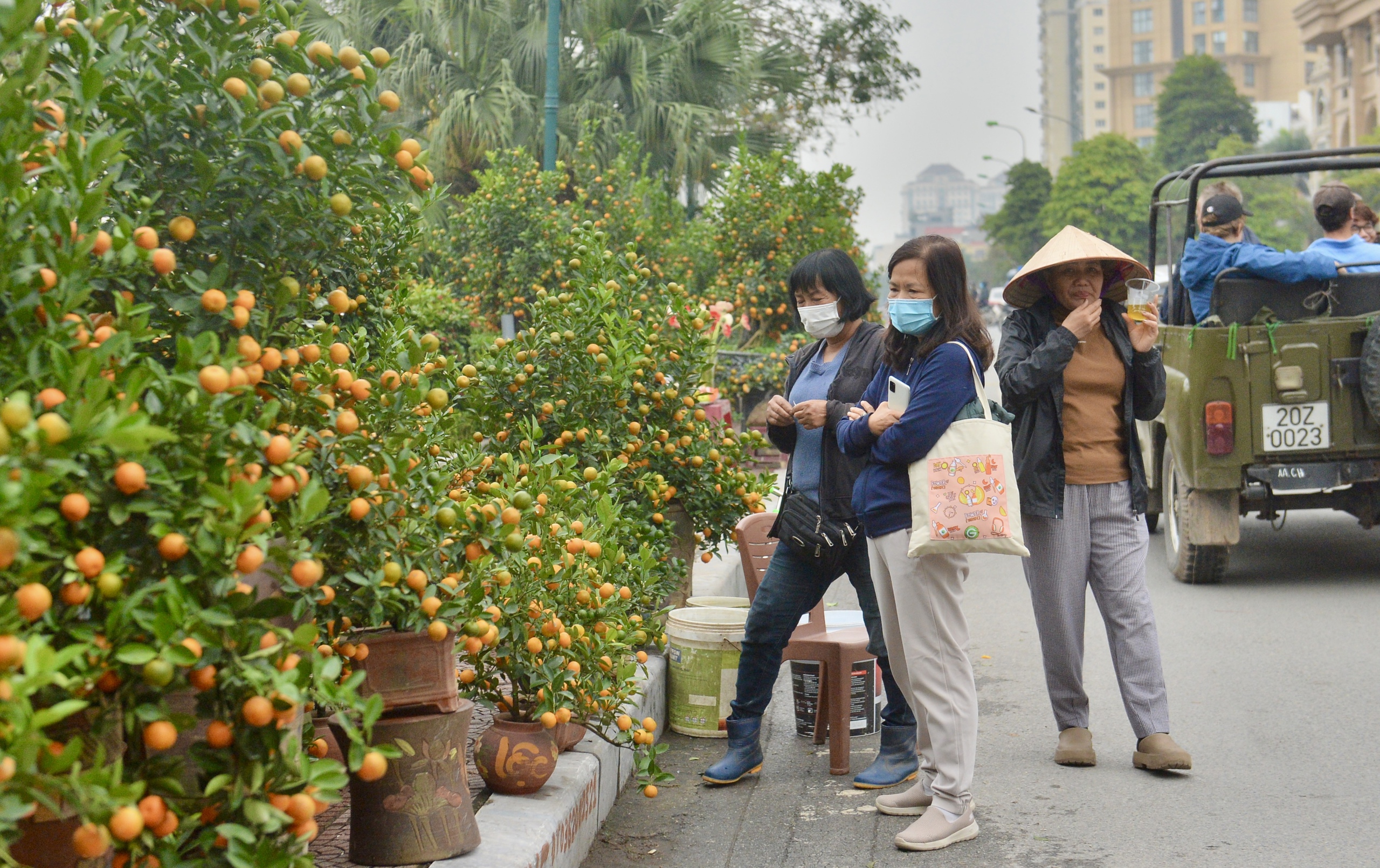 Chiêm ngưỡng cặp quýt hình rồng 'hét giá' 200 triệu trên phố Hà Nội- Ảnh 12.