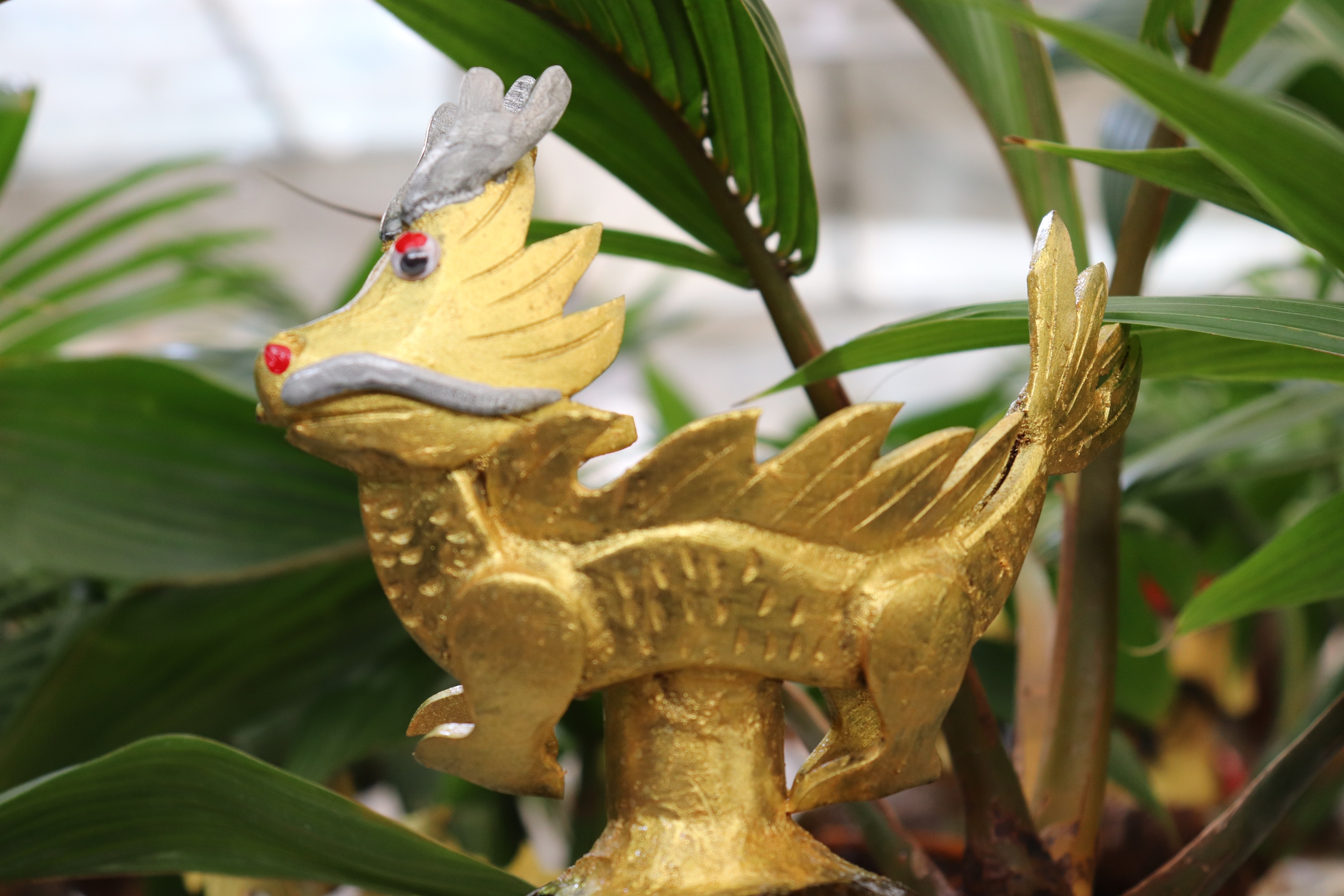Độc lạ rồng vàng ôm dừa bonsai hút khách, mất cả năm mới tạo hình xong- Ảnh 3.