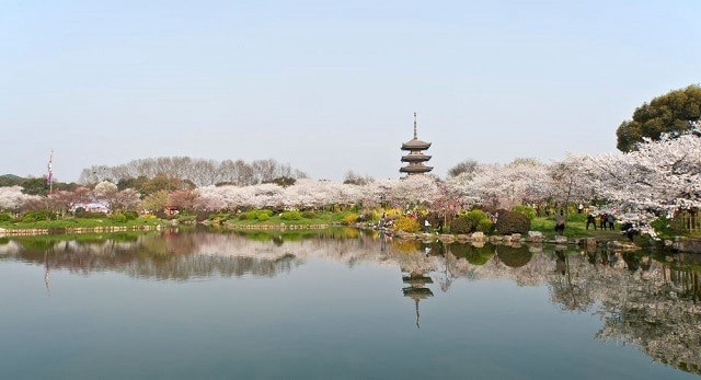 Top 5 địa điểm du lịch thú vị tại Vũ Hán mà bạn nên biết đến- Ảnh 5.