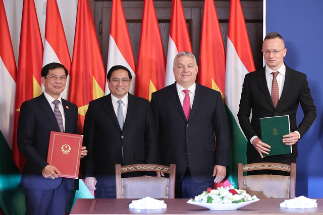 Việt Nam - Hungary: Hợp tác kinh tế, đầu tư, thương mại là trụ cột- Ảnh 6.