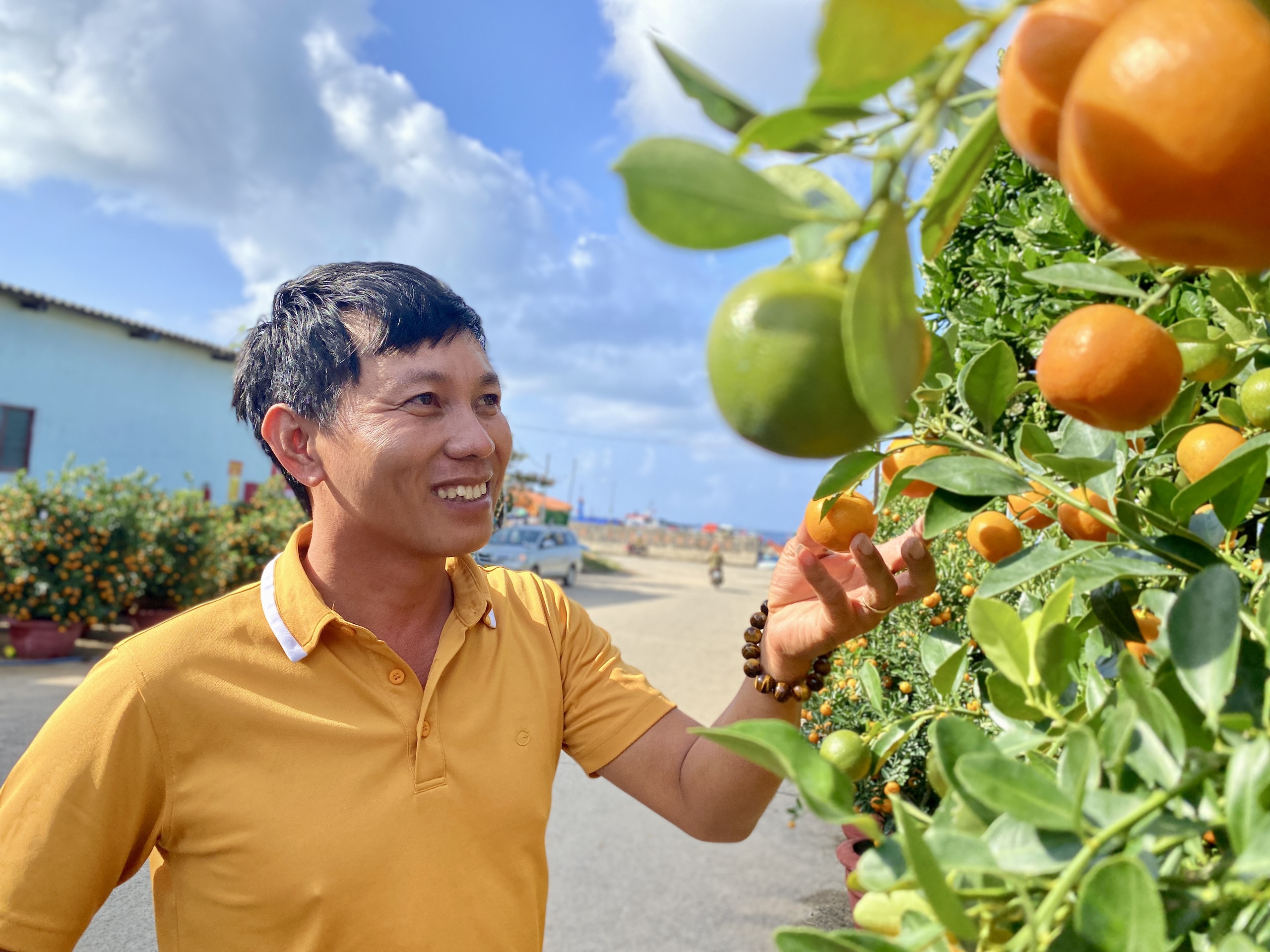 Tết Giáp Thìn 2024: Quất cảnh có mặt trên đảo Lý Sơn, trái sum suê nhờ thời tiết đẹp- Ảnh 8.