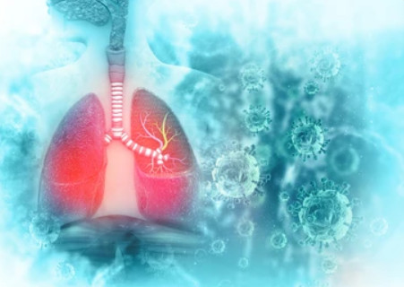 Biến thể Covid-19 mới có thể lây nhiễm sâu trong phổi và gây bệnh nặng- Ảnh 1.