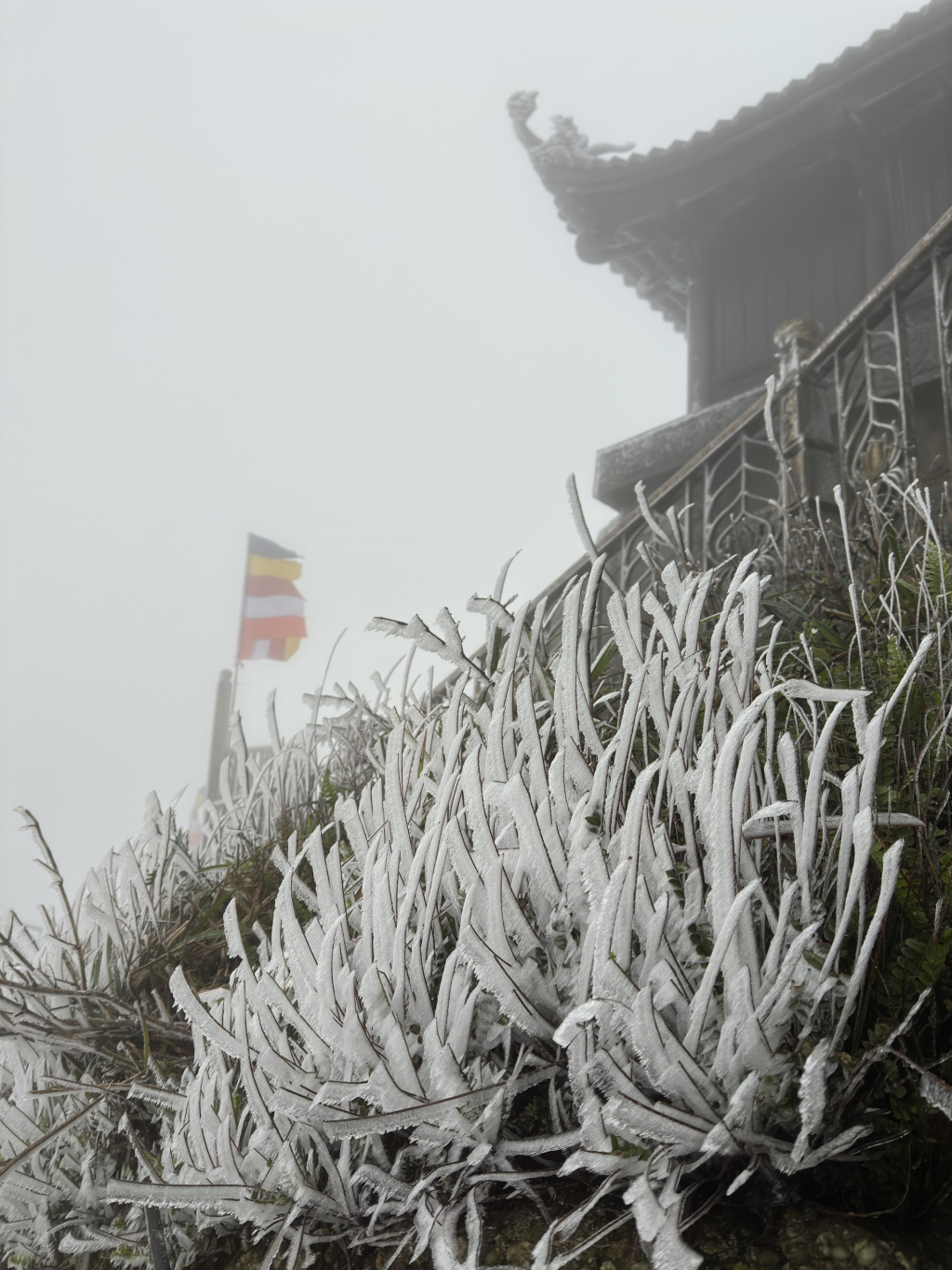 Băng tuyết phủ trắng chùa Đồng trên núi Yên Tử- Ảnh 5.