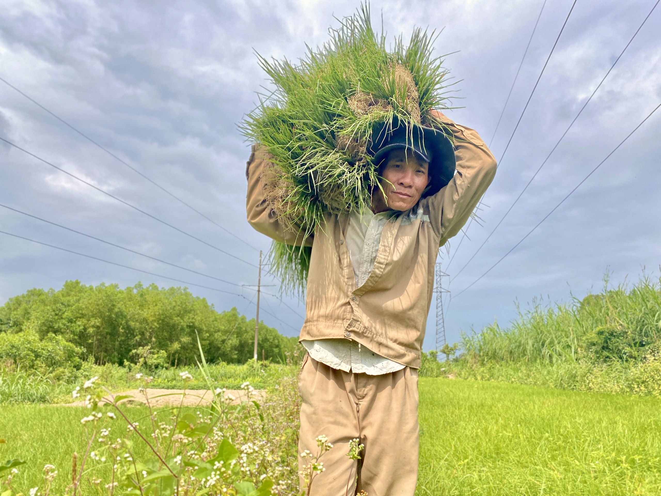 Quảng Ngãi: Thủ phủ kiệu vào vụ thu hoạch nhưng kém vui vì rớt giá- Ảnh 5.