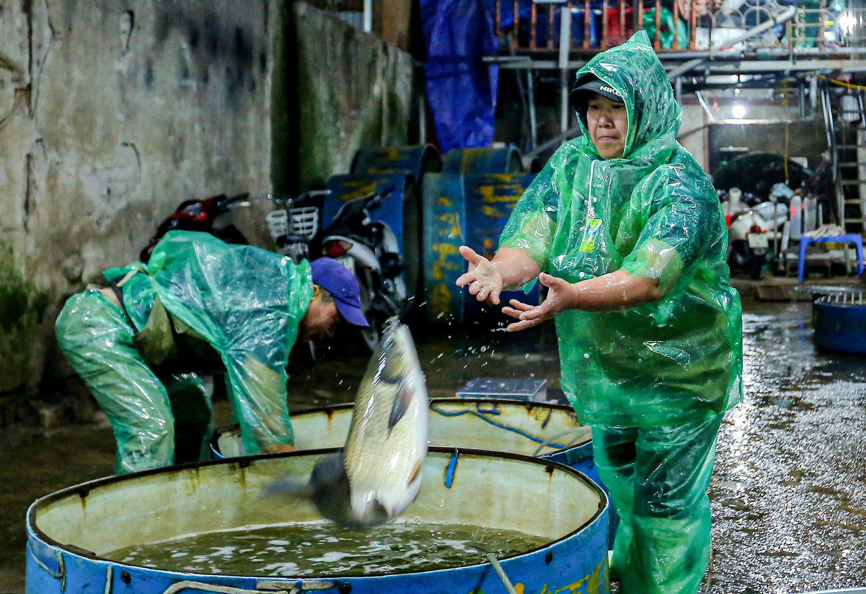 Tiểu thương khiêng đá, ngâm tay trong nước lạnh mưu sinh giữa trời rét 10 độ C- Ảnh 3.