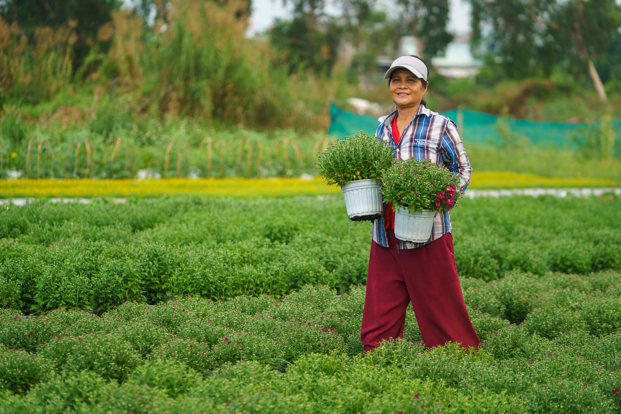 Làng hoa lớn nhất TP.HCM đẹp mê mẩn mùa tết: Chủ 'ngóng' khách từng ngày vì lo ế- Ảnh 6.