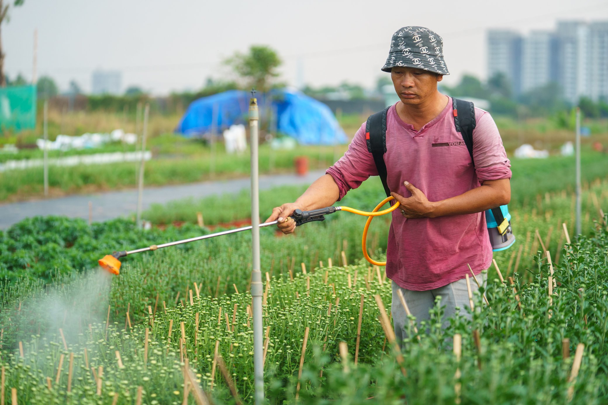 Làng hoa lớn nhất TP.HCM đẹp mê mẩn mùa tết: Chủ 'ngóng' khách từng ngày vì lo ế- Ảnh 4.