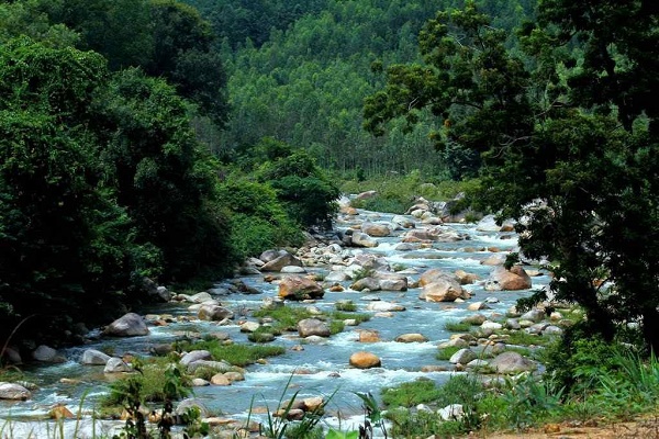 Tới Cam Ranh tắm biển bãi Nồm, thăm chùa Ốc, chơi đảo Rùa, 'check in' với cừu- Ảnh 5.