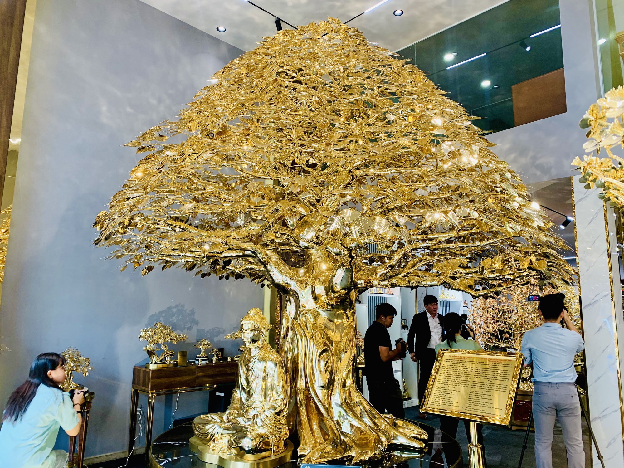 Cây đào, bồ đề mạ vàng lớn nhất Việt Nam giá 1 triệu USD ra mắt Tết Nguyên đán 2024- Ảnh 4.