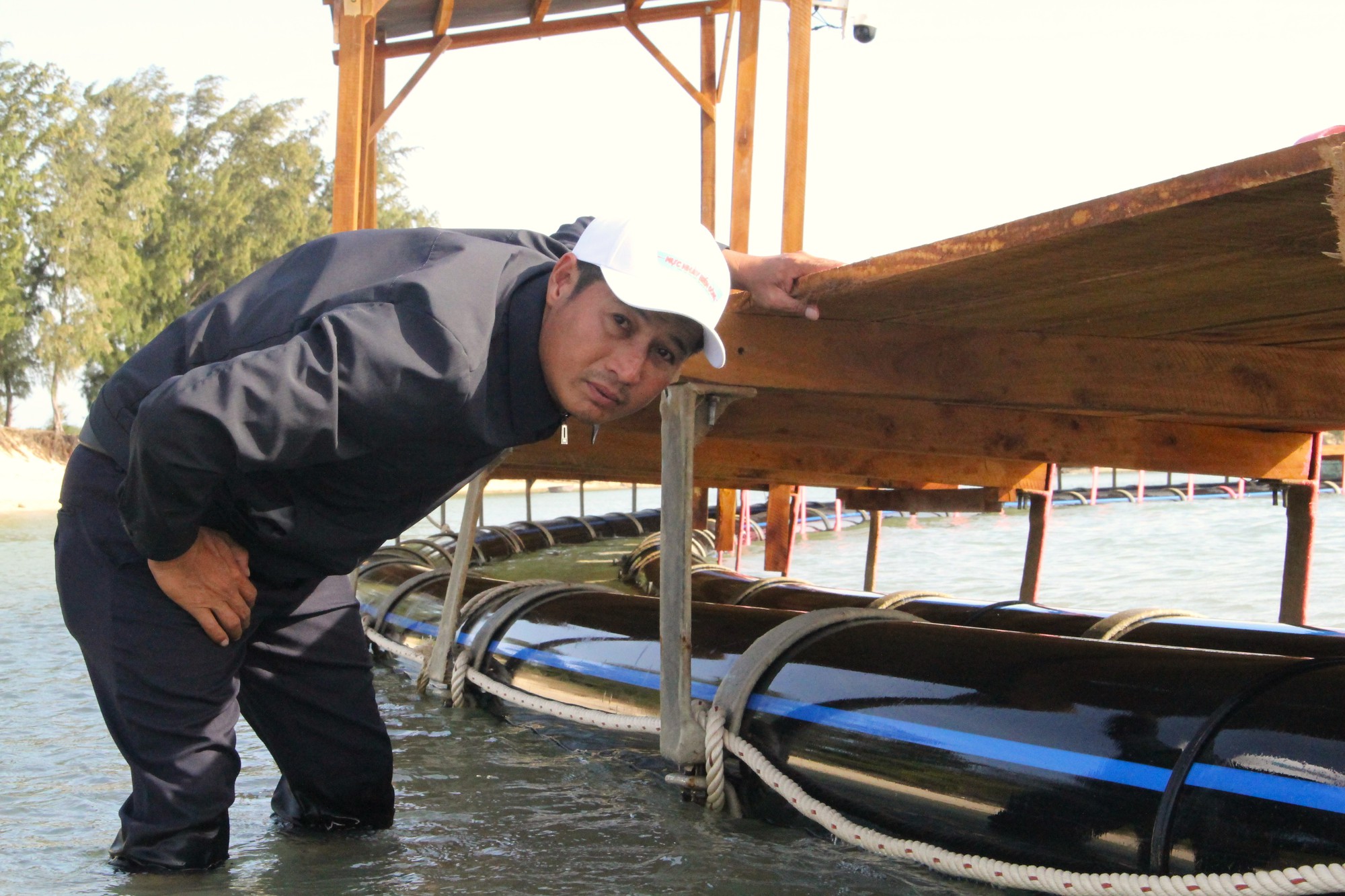 Hạ thủy thành công lồng nuôi mực bán tự nhiên trên biển lớn nhất Việt Nam- Ảnh 3.