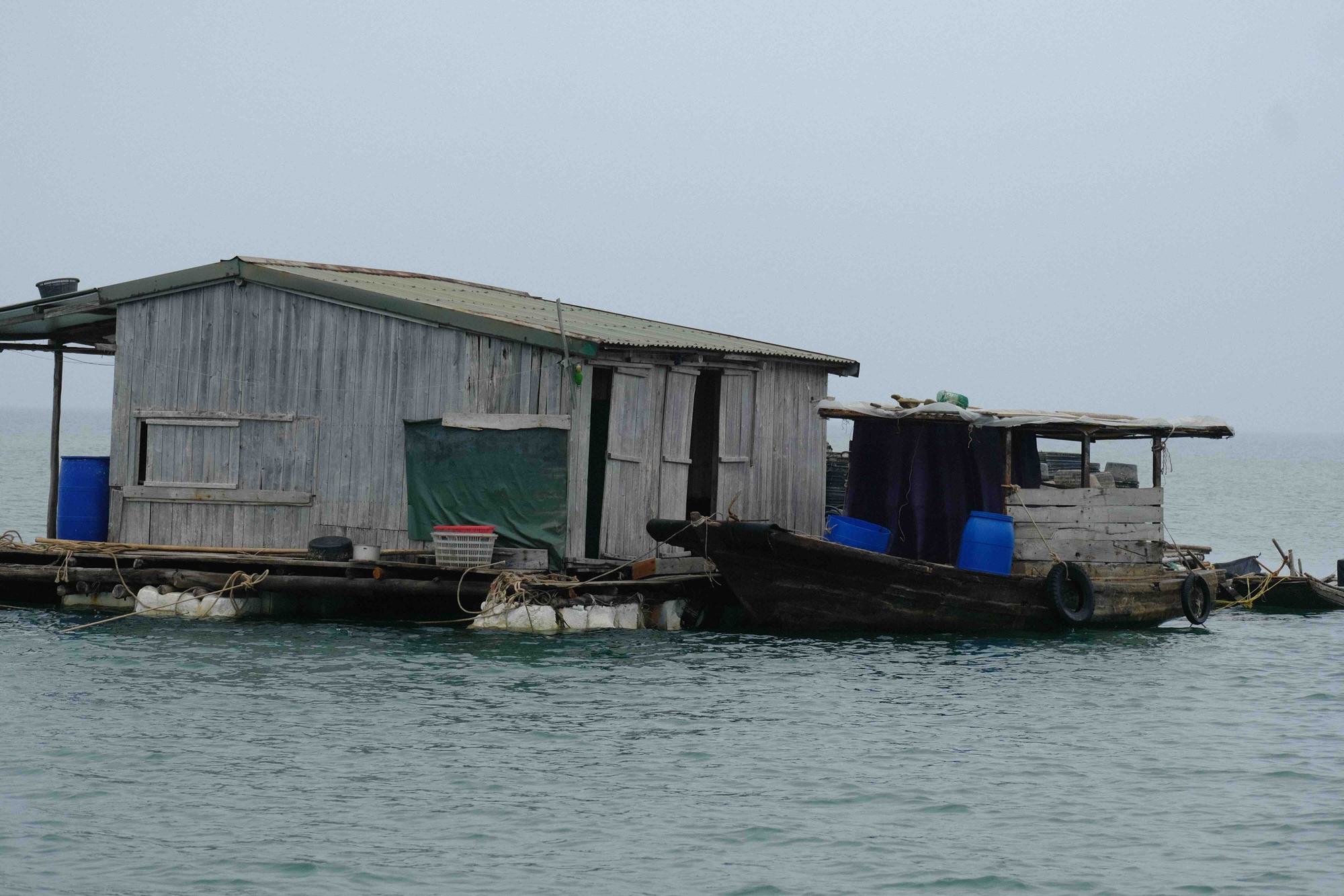 Tràn lan điểm nuôi thủy sản trái phép quanh các đảo ở vịnh Bái Tử Long- Ảnh 8.