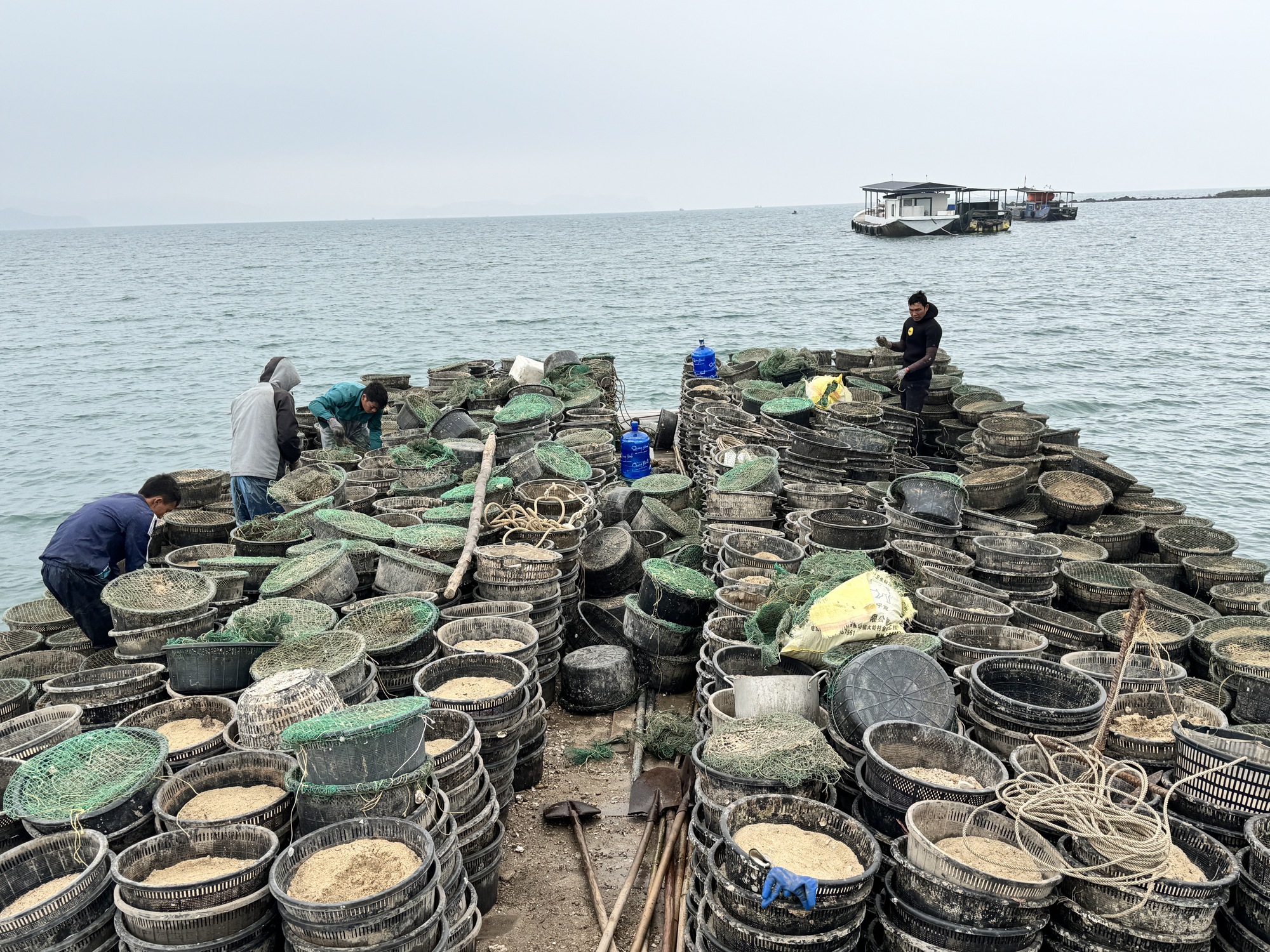Quảng Ninh: Xử lý dứt điểm việc nuôi thủy sản trái phép trên vịnh Bái Tử Long- Ảnh 3.