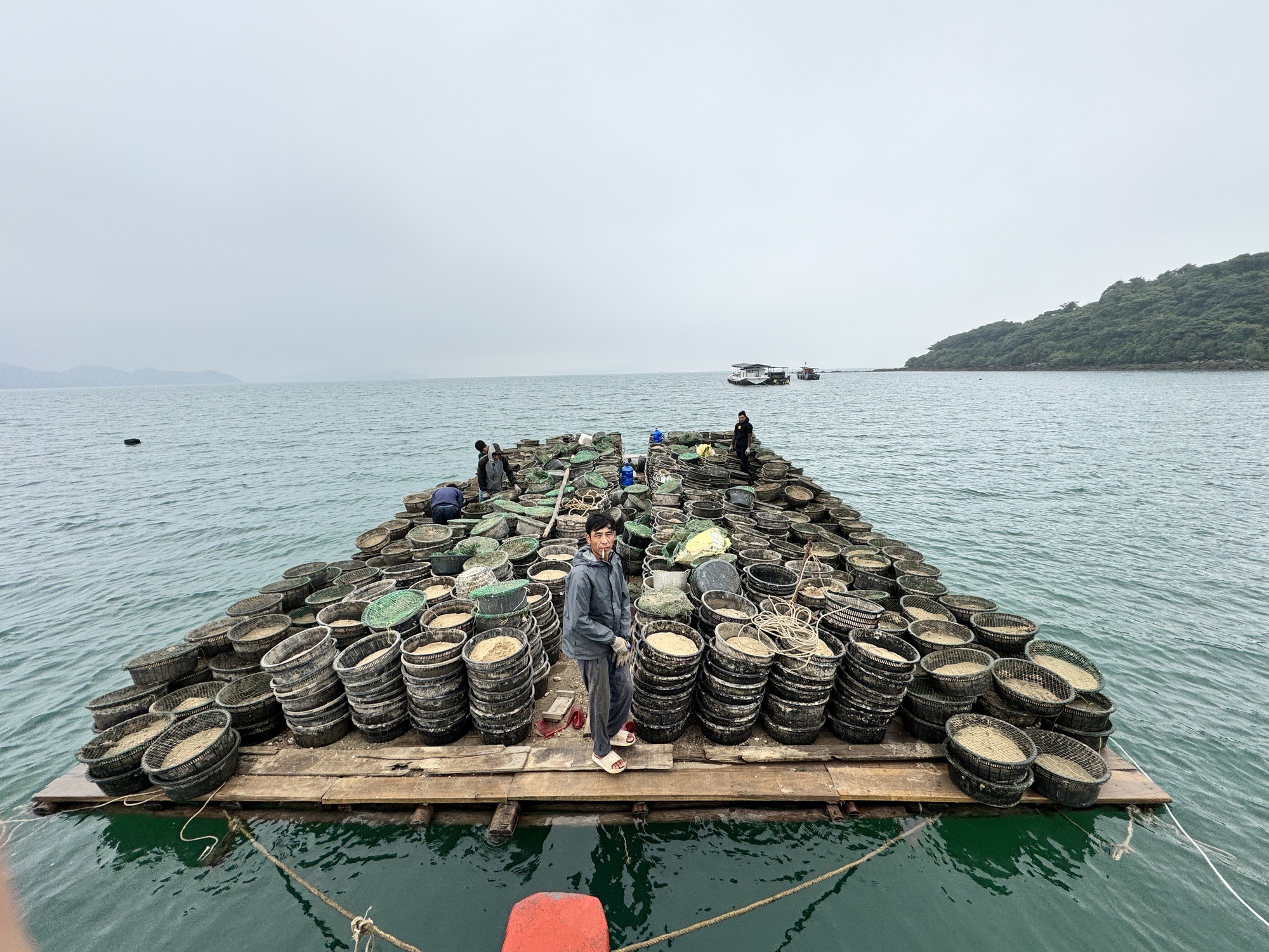 Quảng Ninh: Xử lý dứt điểm việc nuôi thủy sản trái phép trên vịnh Bái Tử Long- Ảnh 5.