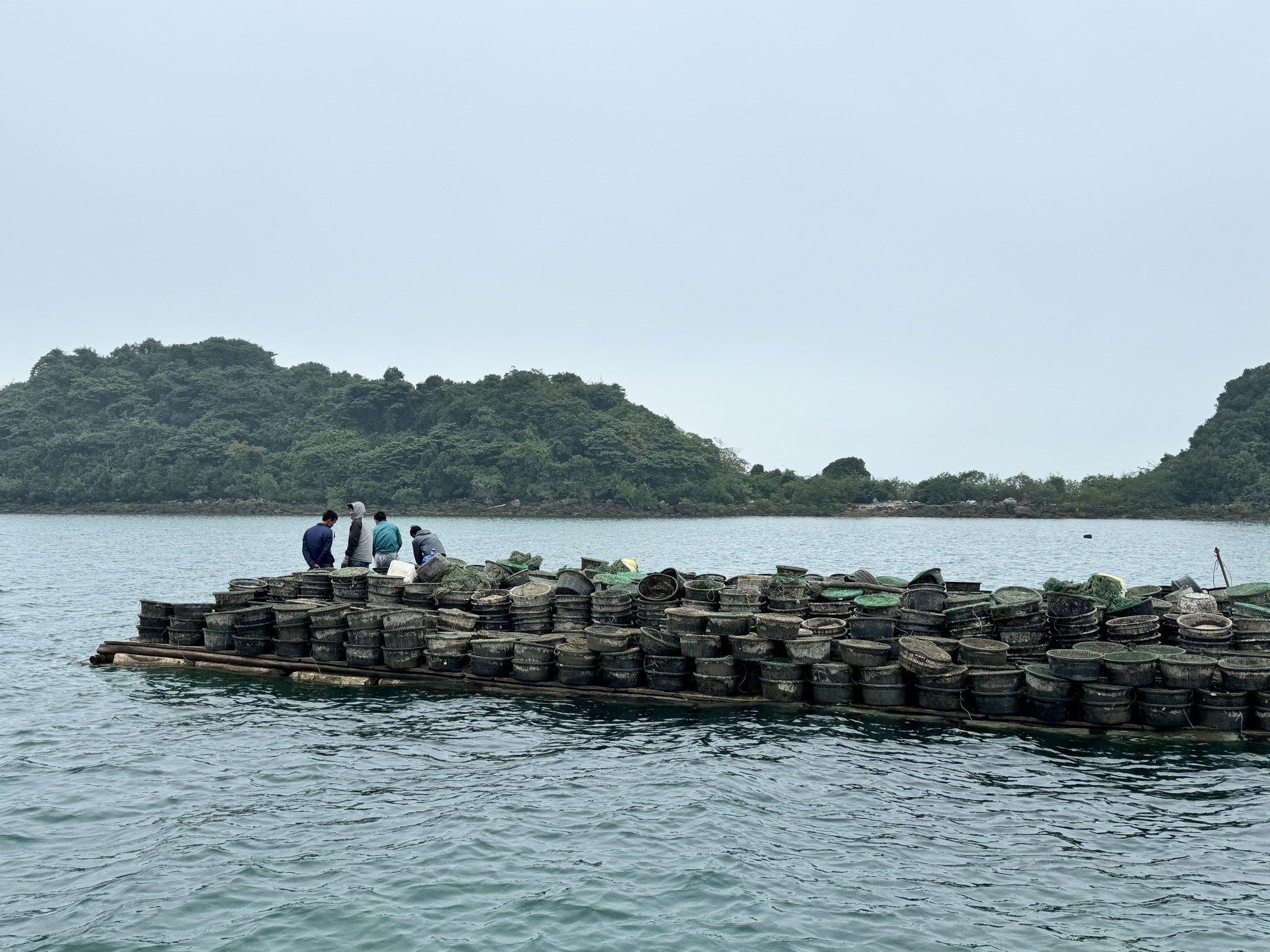 Quảng Ninh: Nơi mạnh tay, nơi thờ ơ dẹp nạn nuôi trồng thủy sản trái phép  - Ảnh 3.