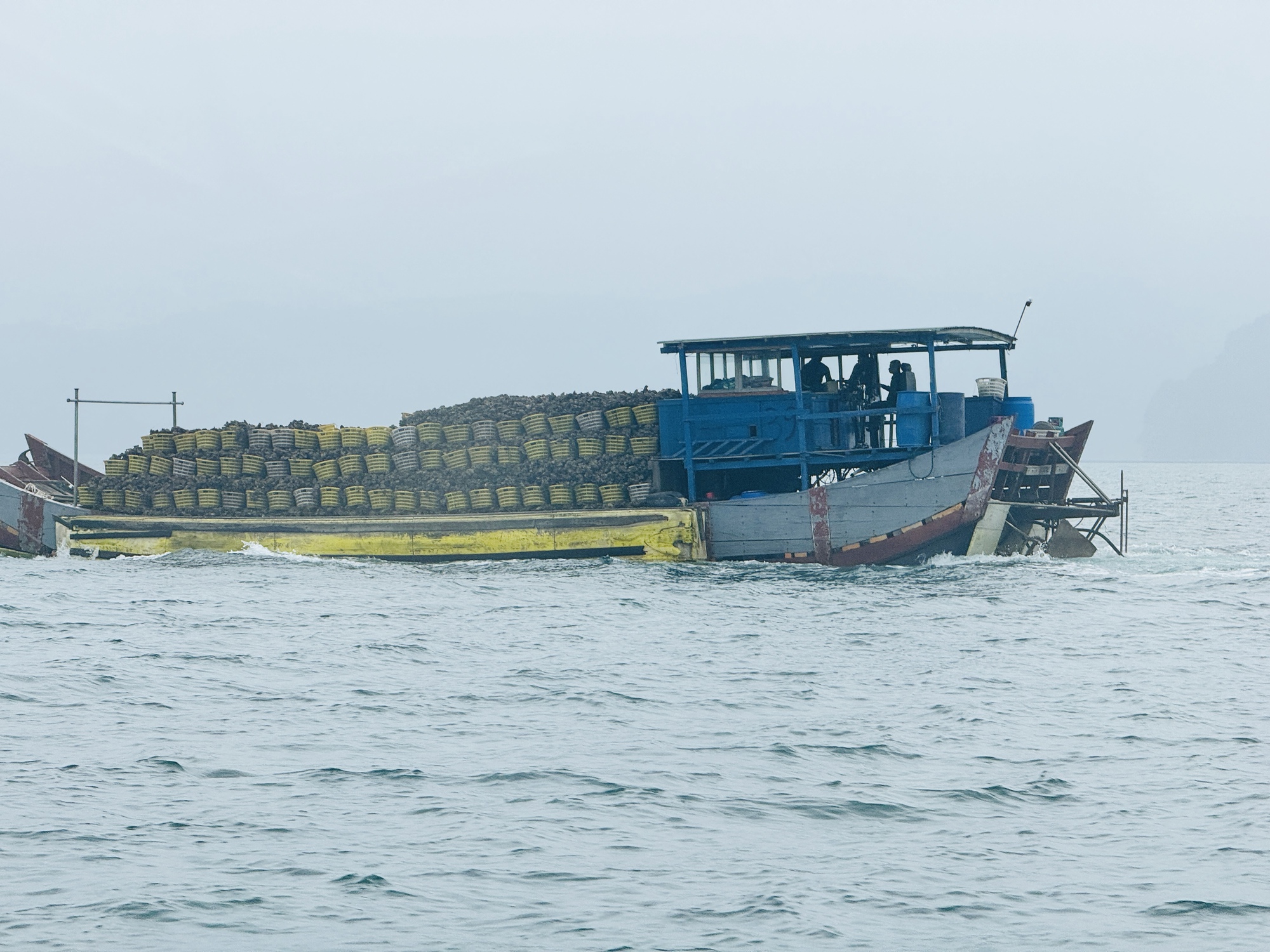 Tràn lan điểm nuôi thủy sản trái phép quanh các đảo ở vịnh Bái Tử Long- Ảnh 4.