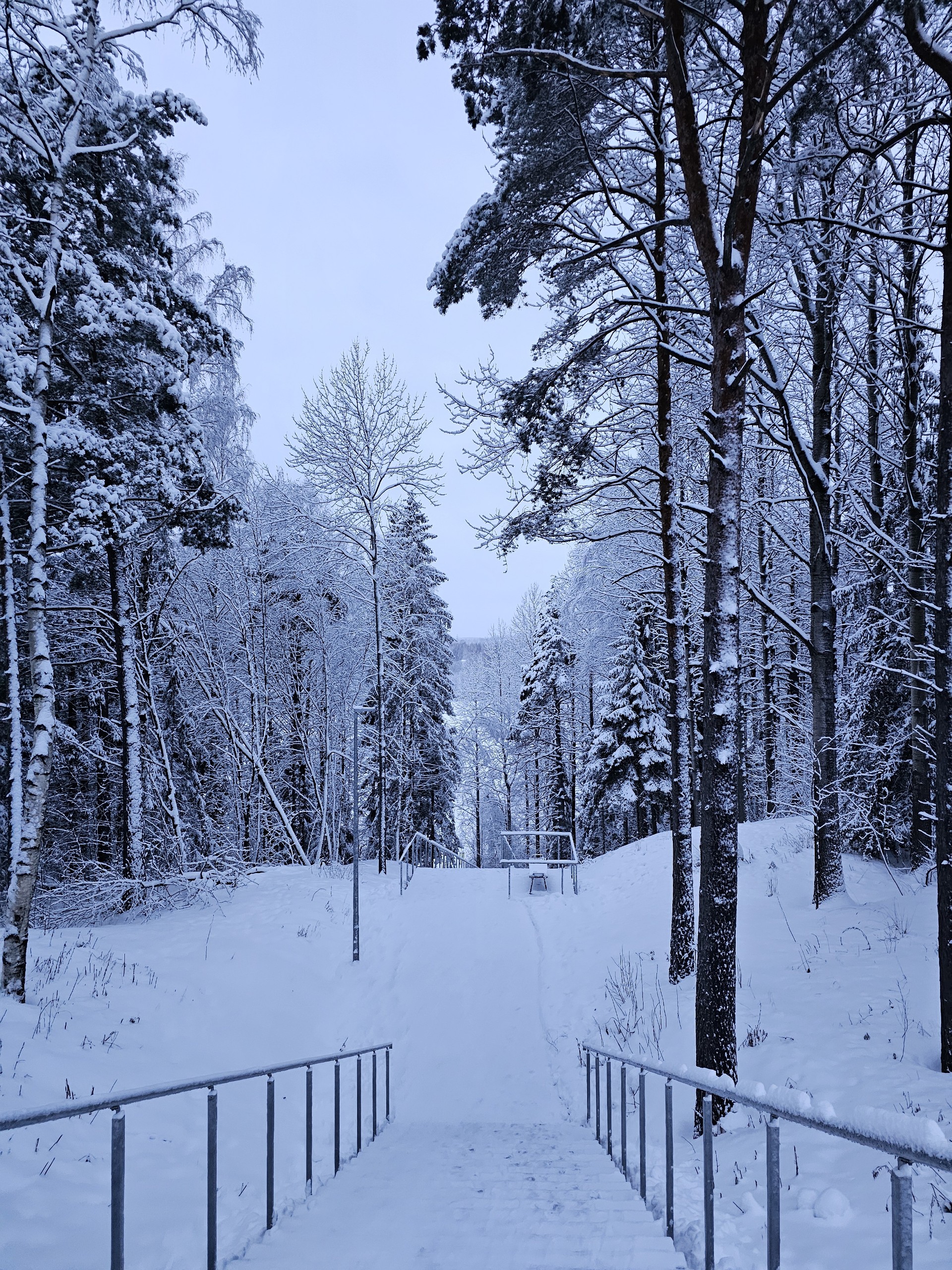 Người Việt ghi lại khoảnh khắc mùa đông Phần Lan đẹp lãng mạn dù -22 độ- Ảnh 5.