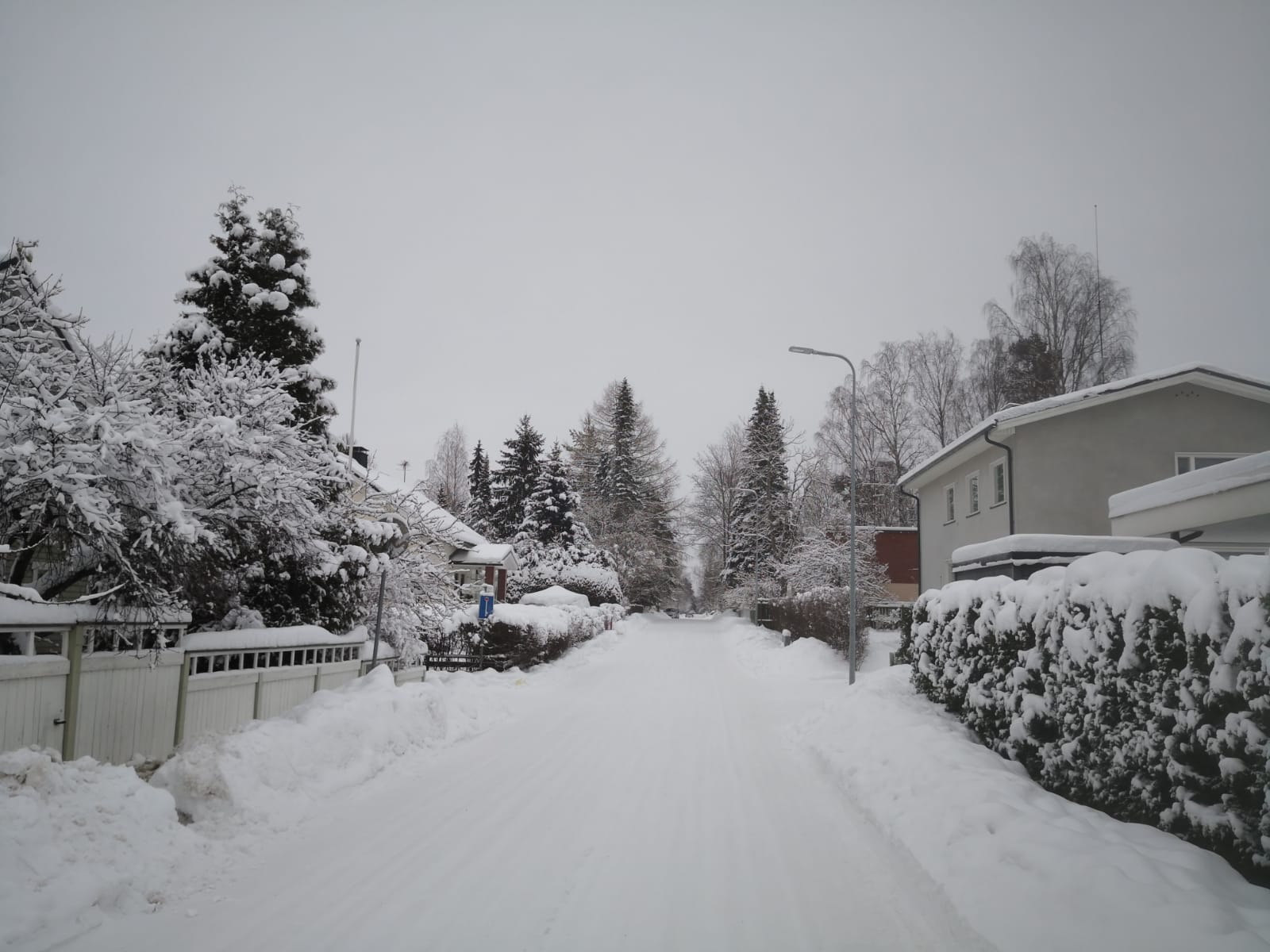 Người Việt ghi lại khoảnh khắc mùa đông Phần Lan đẹp lãng mạn dù -22 độ- Ảnh 3.