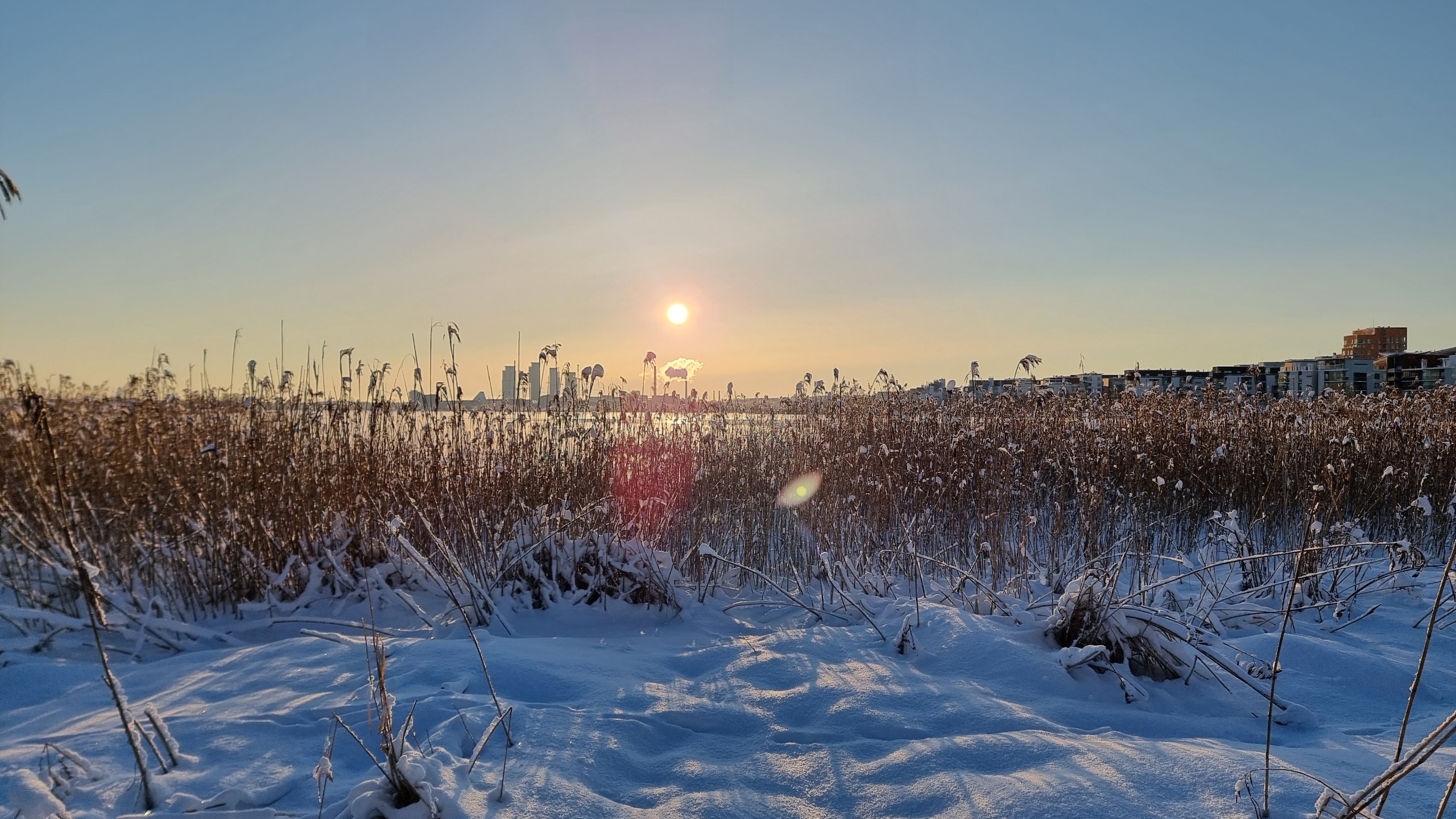 Người Việt ghi lại khoảnh khắc mùa đông Phần Lan đẹp lãng mạn dù -22 độ- Ảnh 15.
