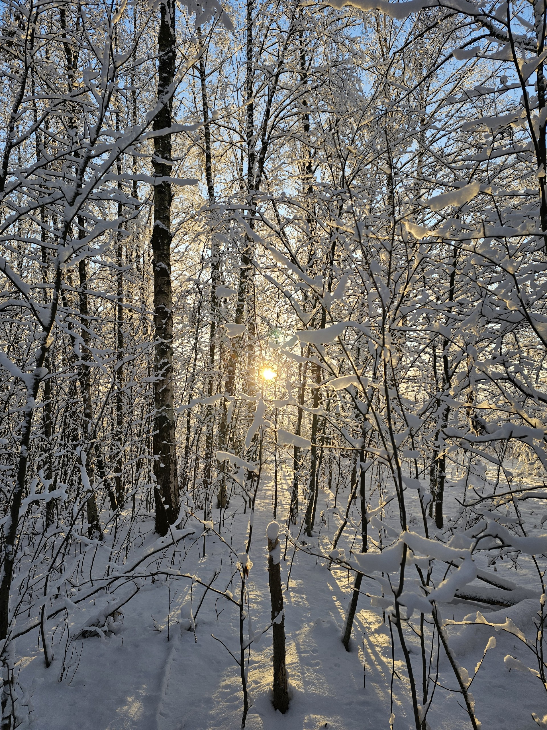 Người Việt ghi lại khoảnh khắc mùa đông Phần Lan đẹp lãng mạn dù -22 độ- Ảnh 2.