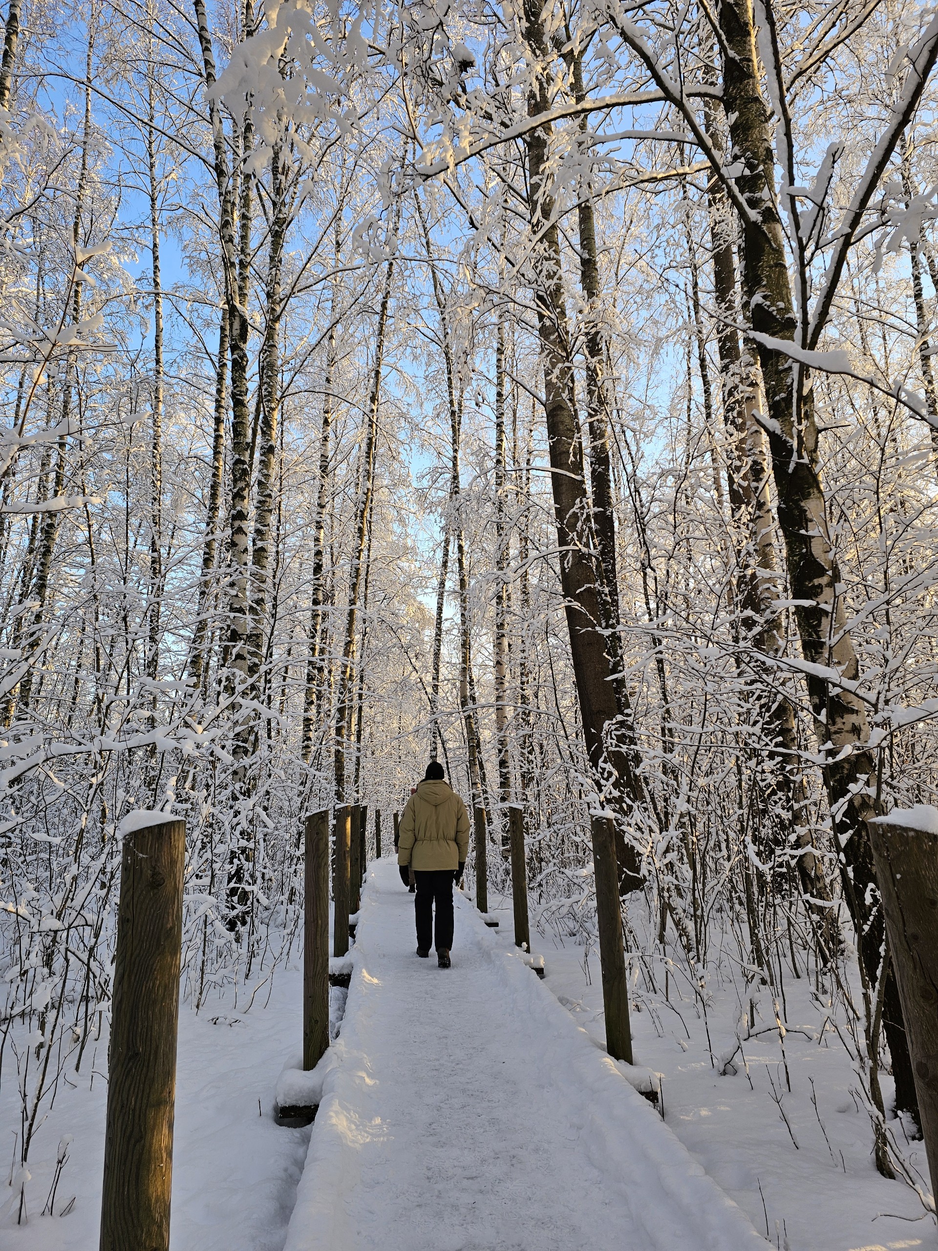 Người Việt ghi lại khoảnh khắc mùa đông Phần Lan đẹp lãng mạn dù -22 độ- Ảnh 6.