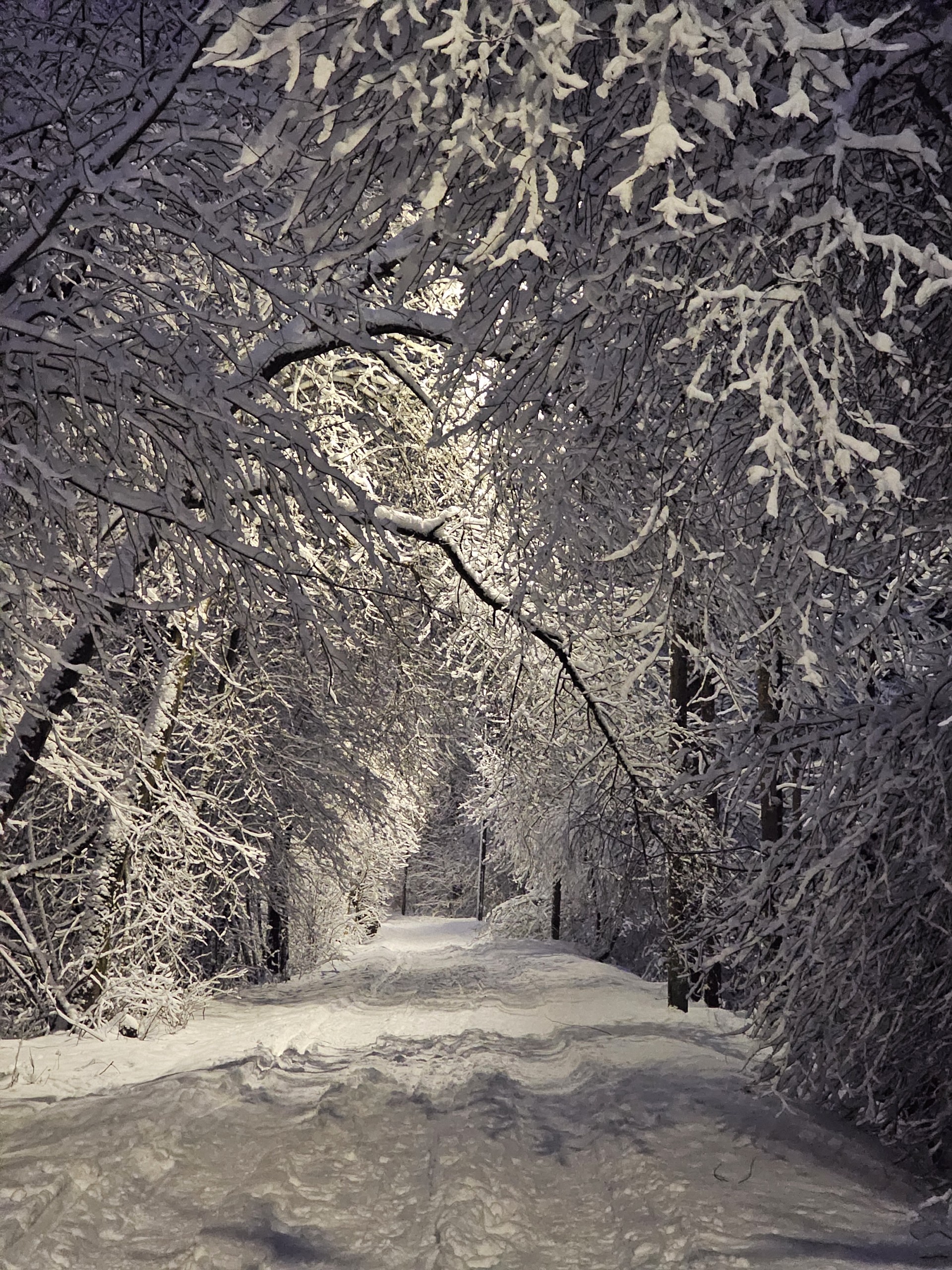 Người Việt ghi lại khoảnh khắc mùa đông Phần Lan đẹp lãng mạn dù -22 độ- Ảnh 9.