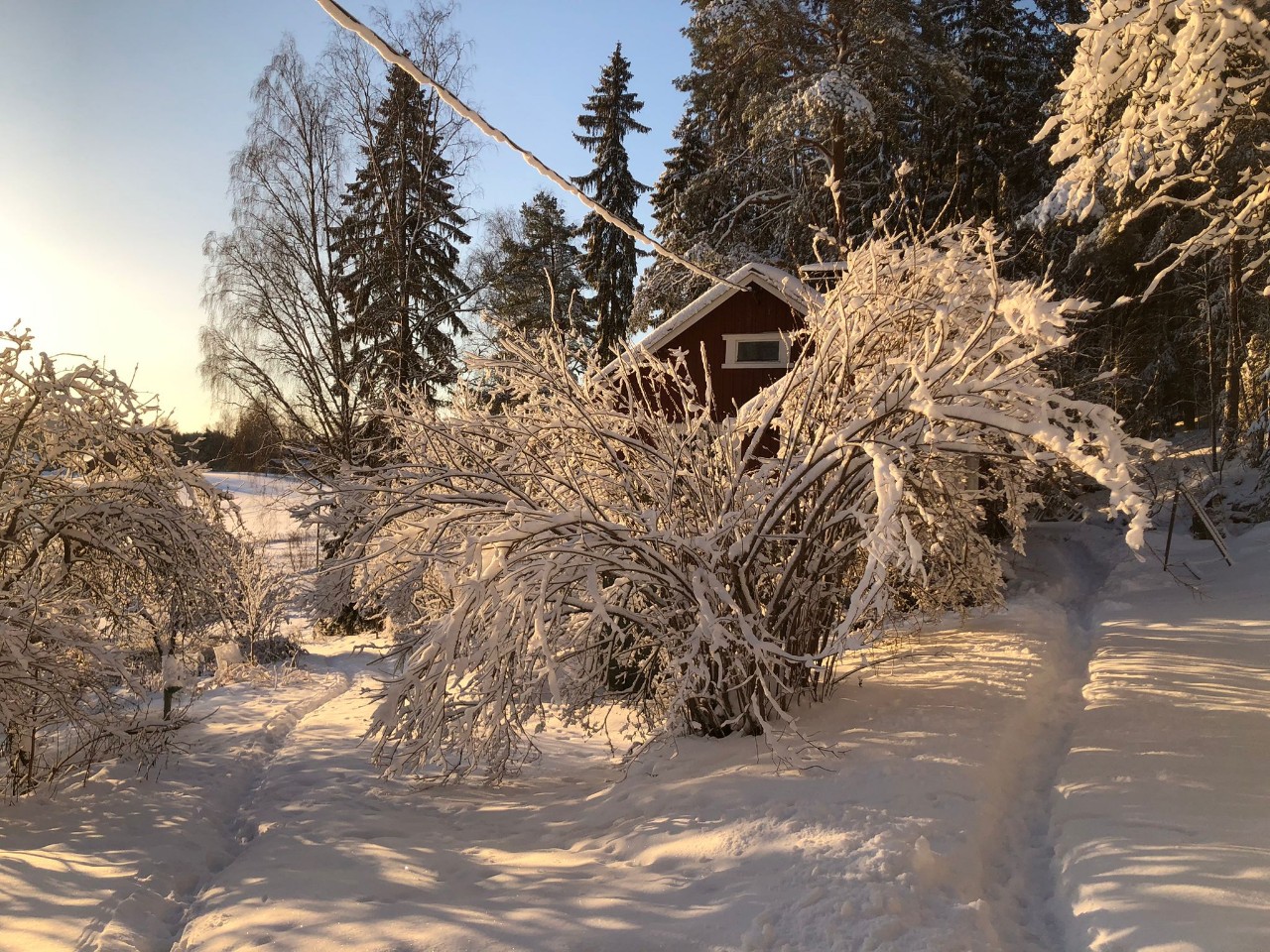 Người Việt ghi lại khoảnh khắc mùa đông Phần Lan đẹp lãng mạn dù -22 độ- Ảnh 11.