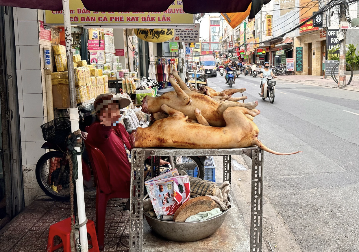 Hàn Quốc thông qua luật cấm tiêu thụ thịt chó: Người Việt cưng yêu chó mừng lây- Ảnh 1.