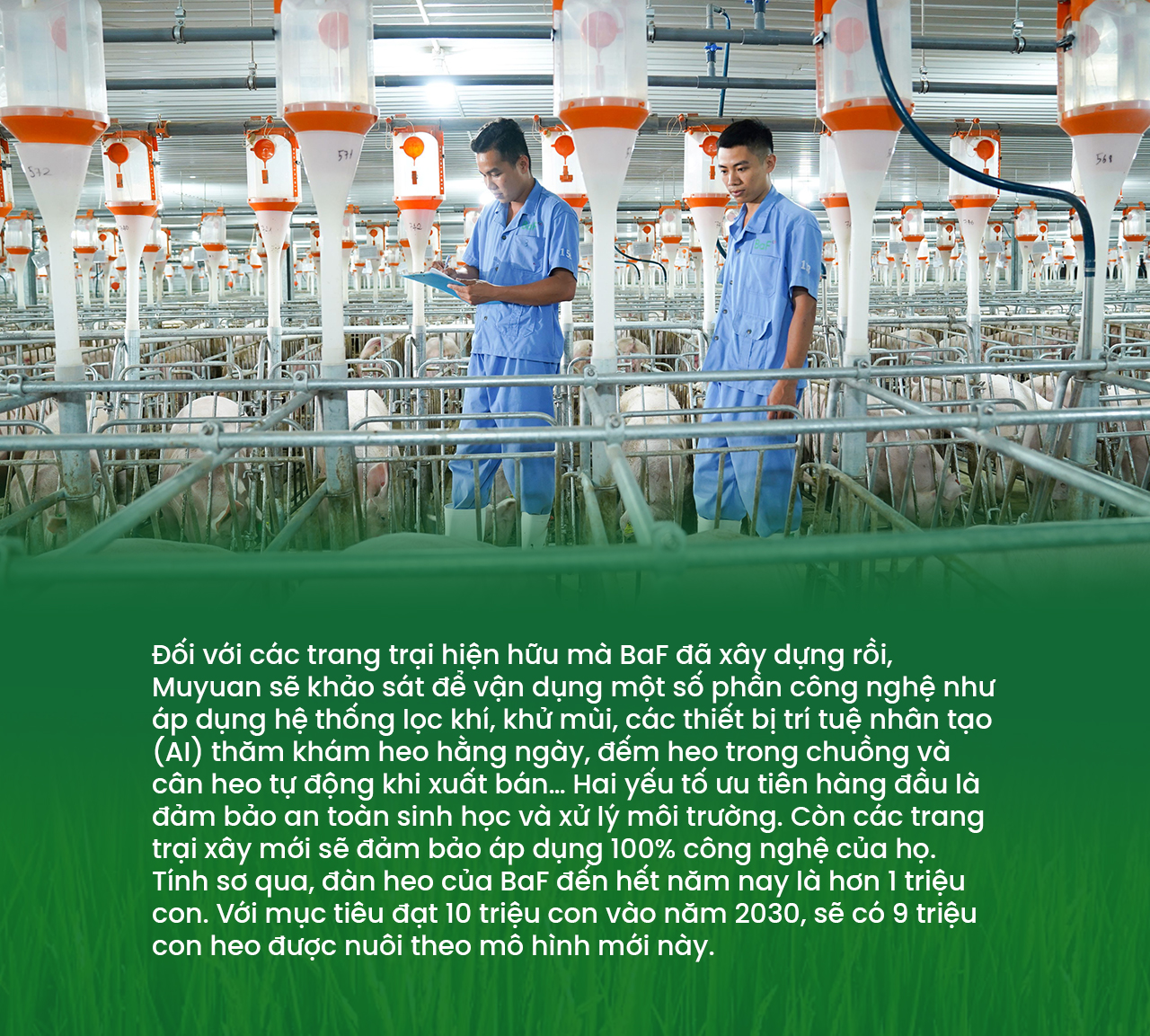 Chúng tôi muốn mang thịt sạch, thịt ngon tới tận tay người tiêu dùng Việt Nam- Ảnh 2.