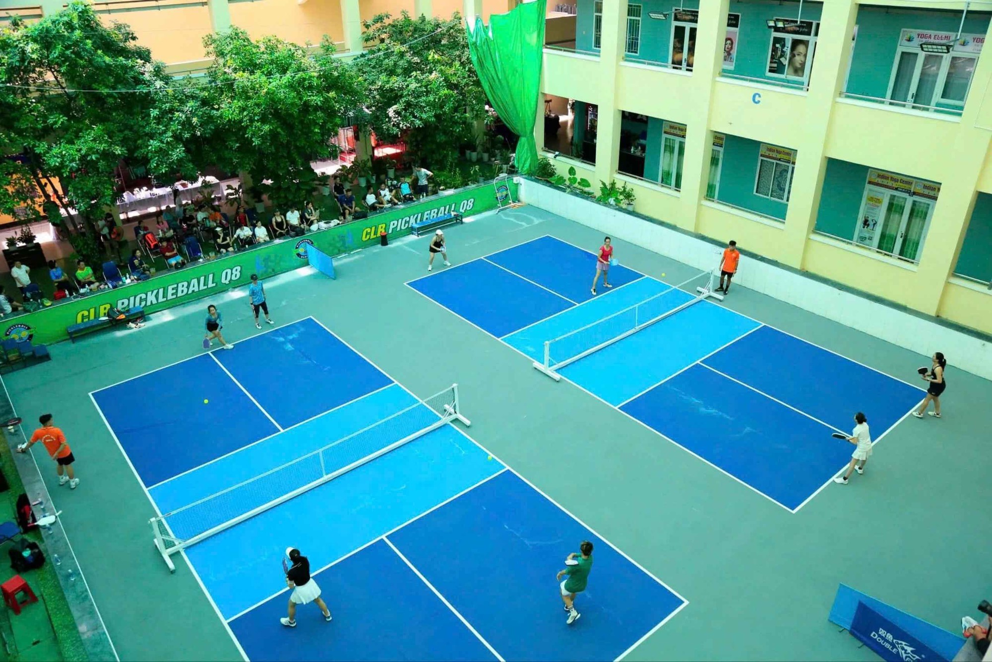 Choáng ngợp với 'dòng chảy' pickleball- Ảnh 3.
