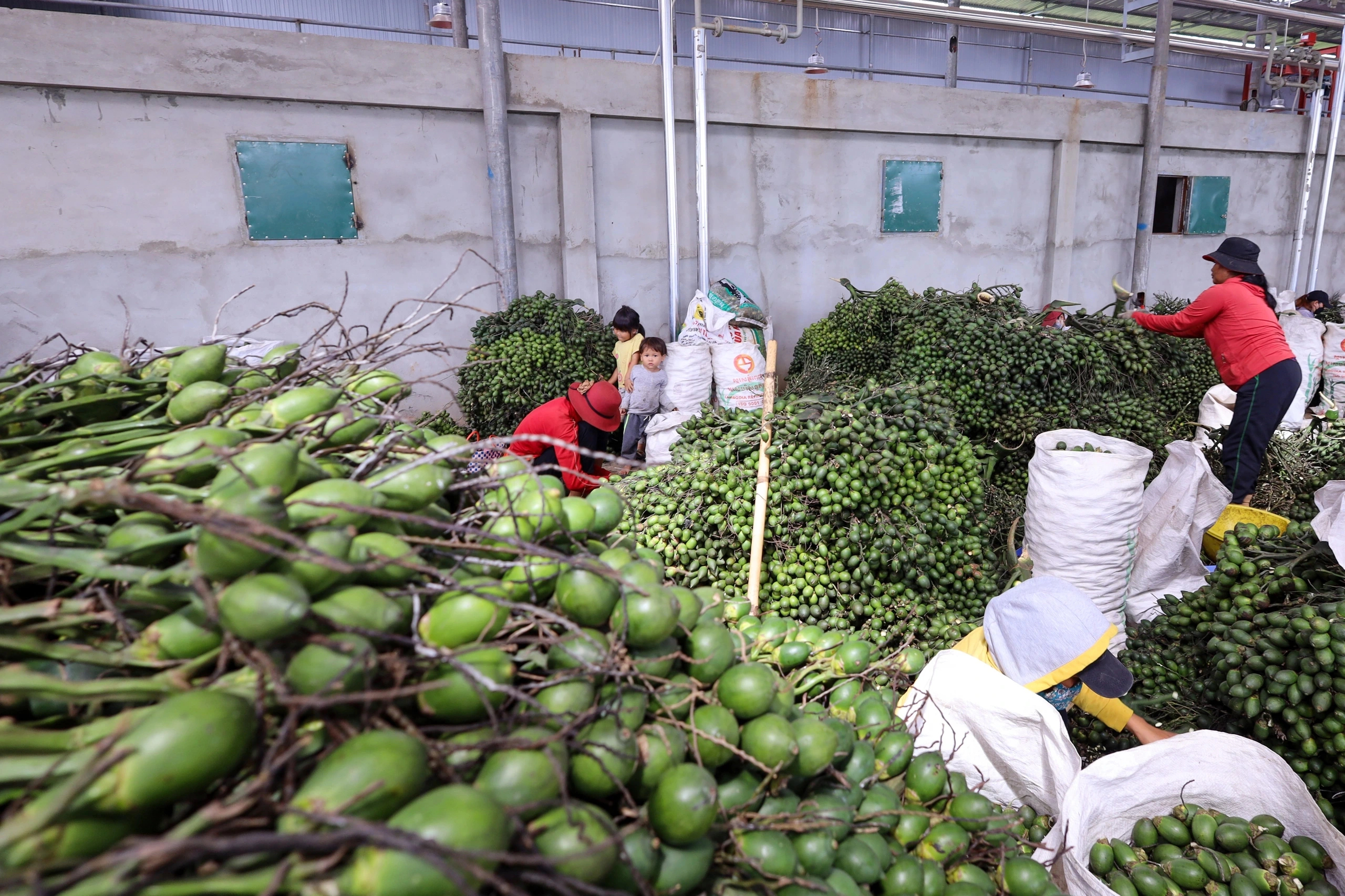 Sốc với gi&aacute; tr&aacute;i cau tươi tăng ch&oacute;ng mặt