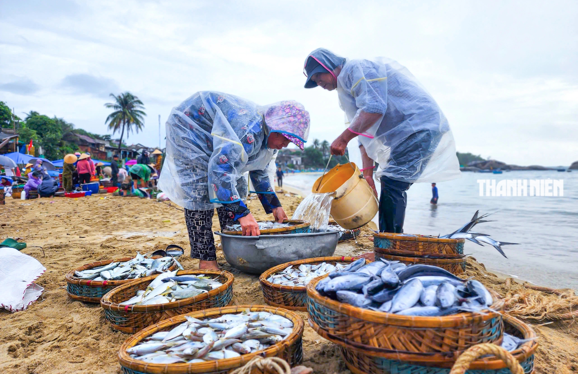 Bình dị phiên chợ cá dưới chân sóng ở Bình Định- Ảnh 3.