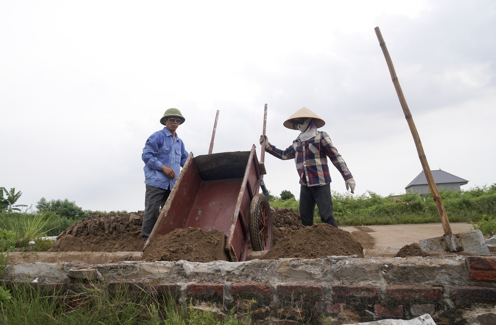 Làm muối trong vườn nhà- Ảnh 4.