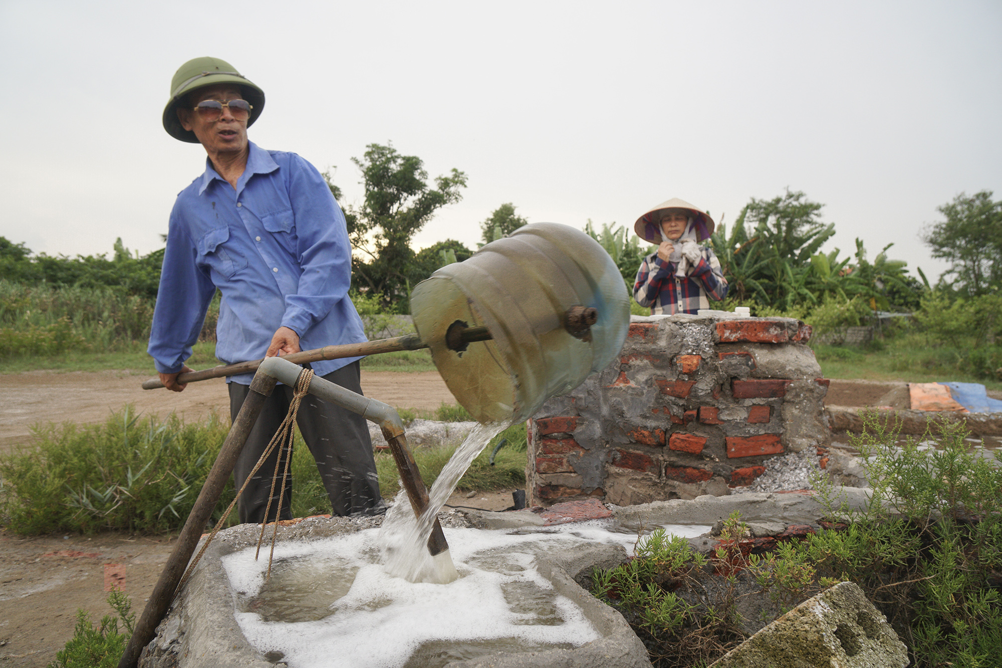 Làm muối trong vườn nhà- Ảnh 5.