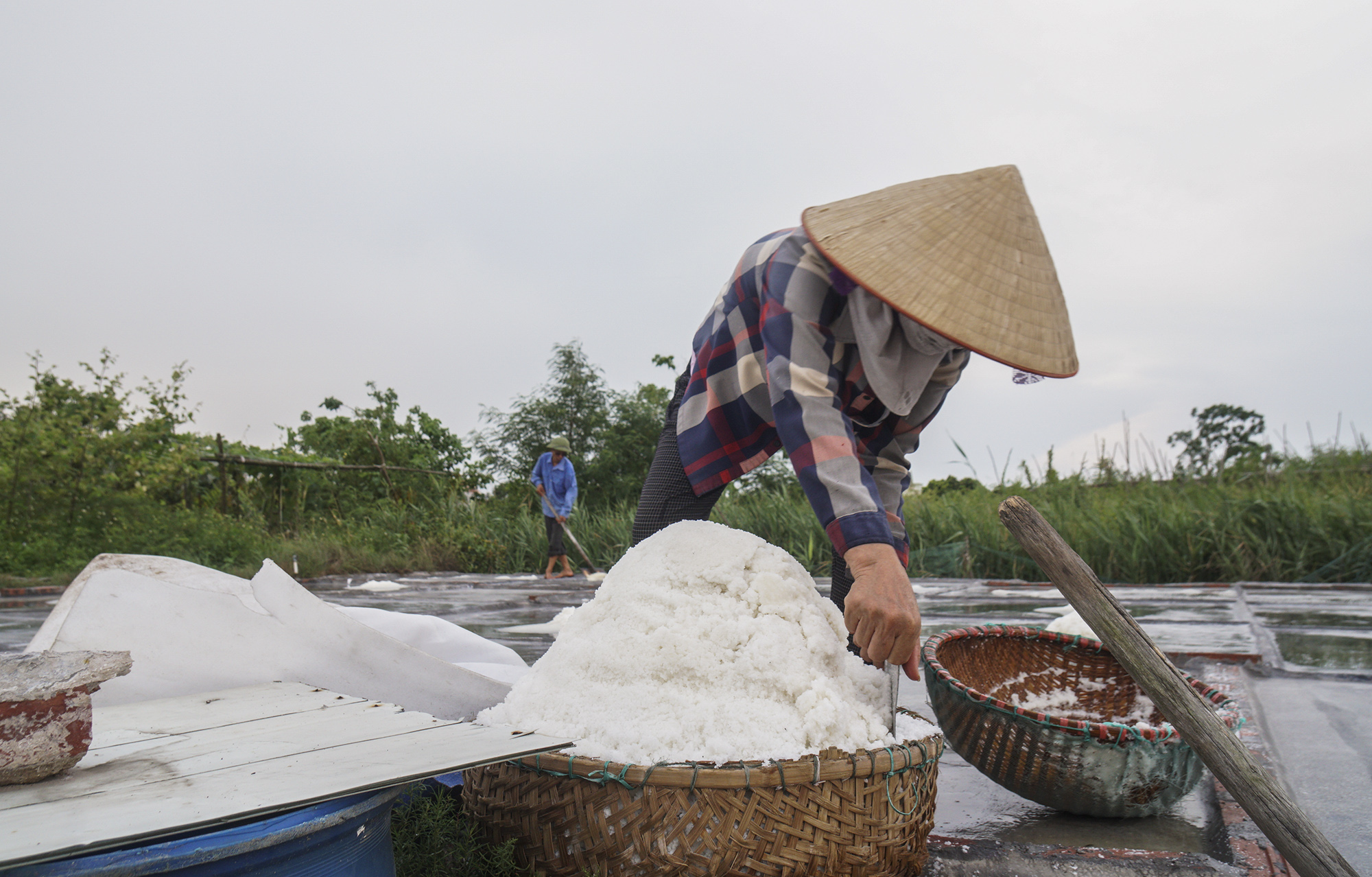 Làm muối trong vườn nhà- Ảnh 7.