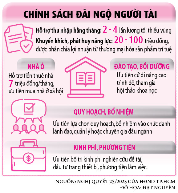 TP.HCM 'đãi cát tìm vàng' cho khu vực công- Ảnh 4.