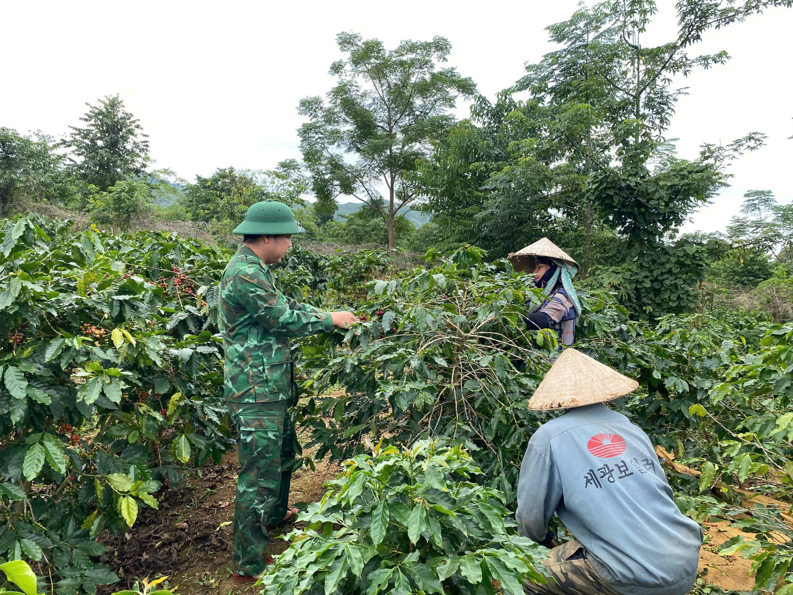 Quảng Trị: Lực lượng biên phòng tổng lực giúp dân trước bão Trà Mi- Ảnh 10.