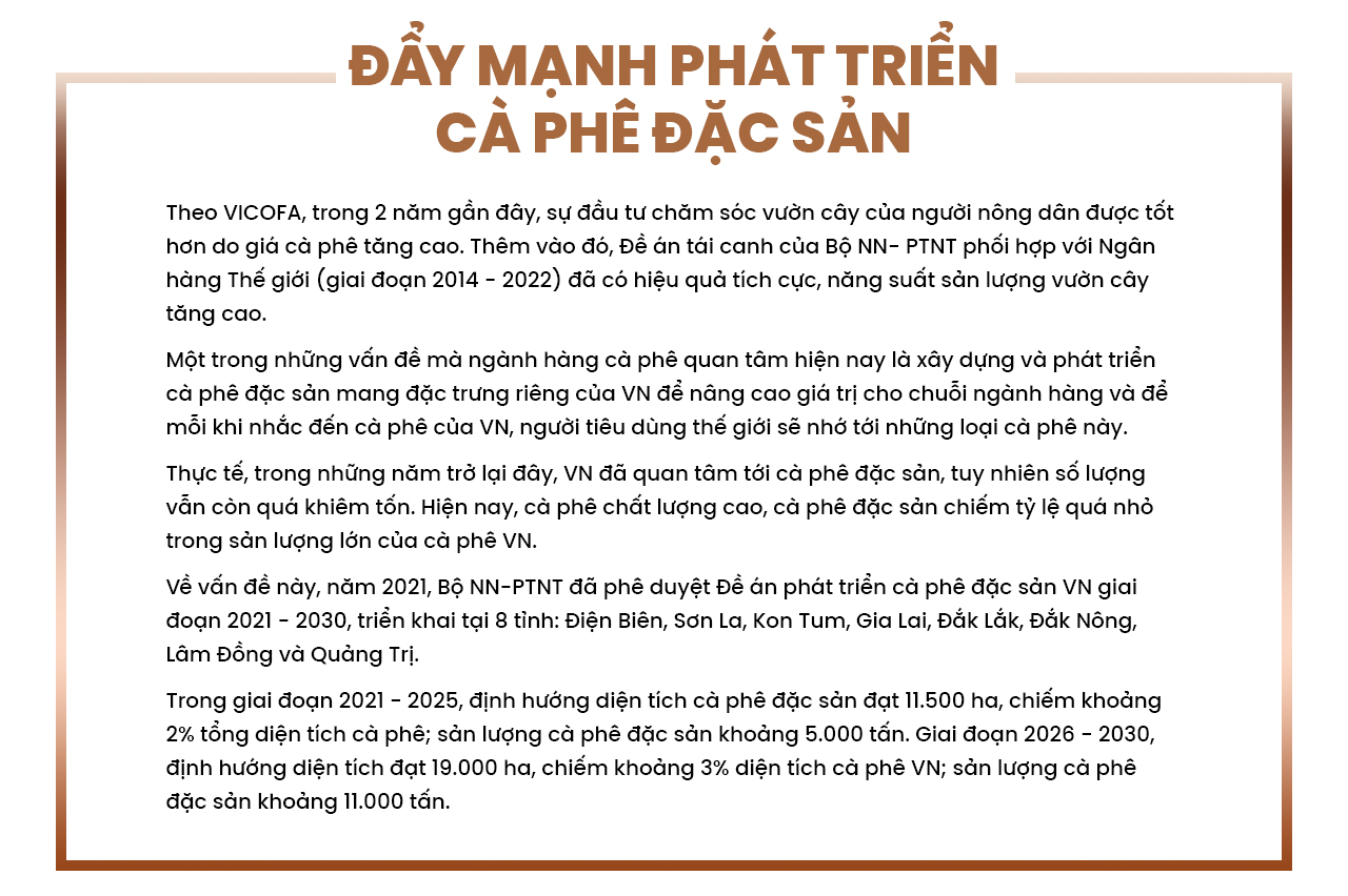 Cà phê Việt phá kỷ lục thế giới- Ảnh 13.