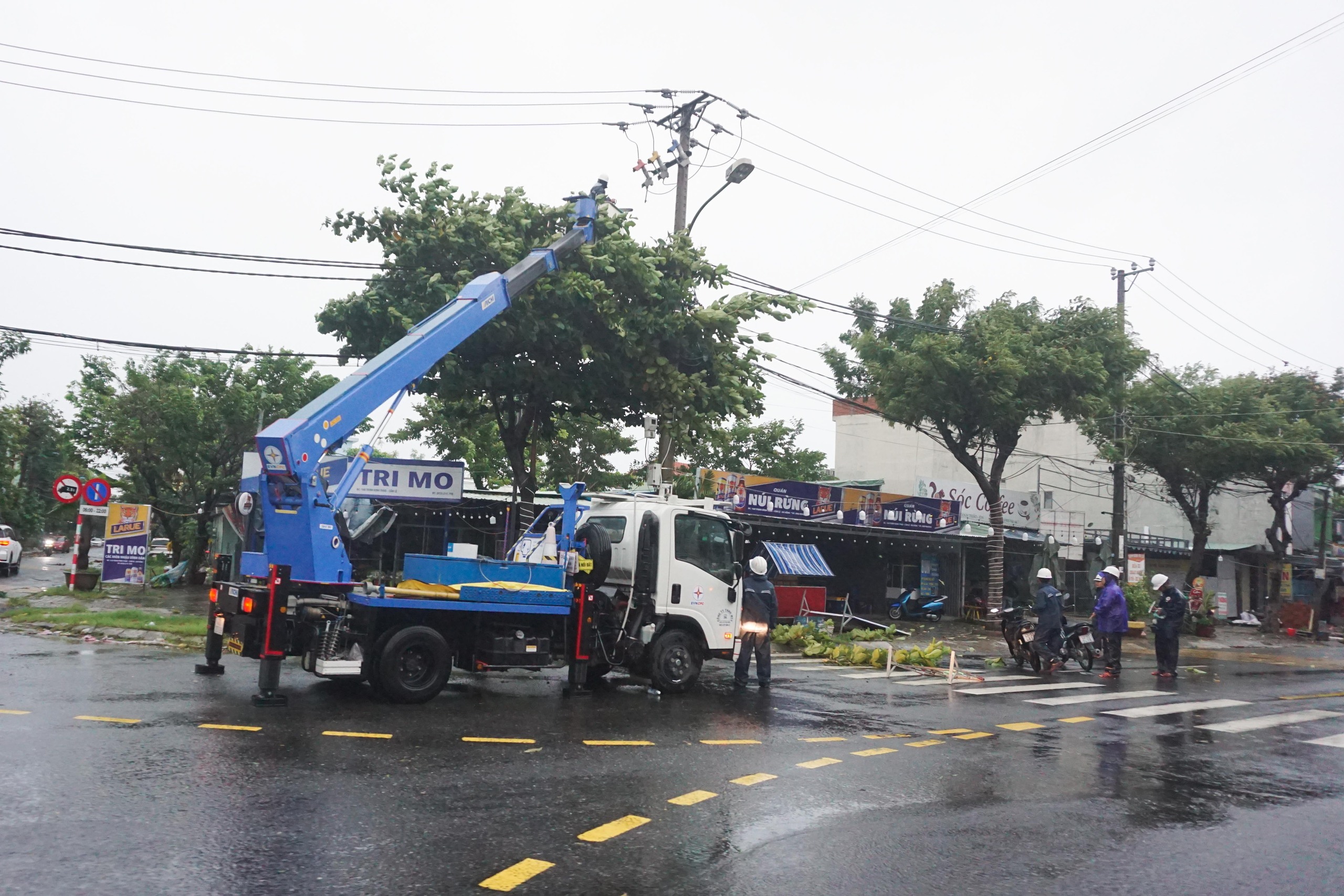 Bão Trà Mi: Đà Nẵng mưa lớn, gió mạnh khiến cây xanh ngã đổ hàng loạt- Ảnh 12.