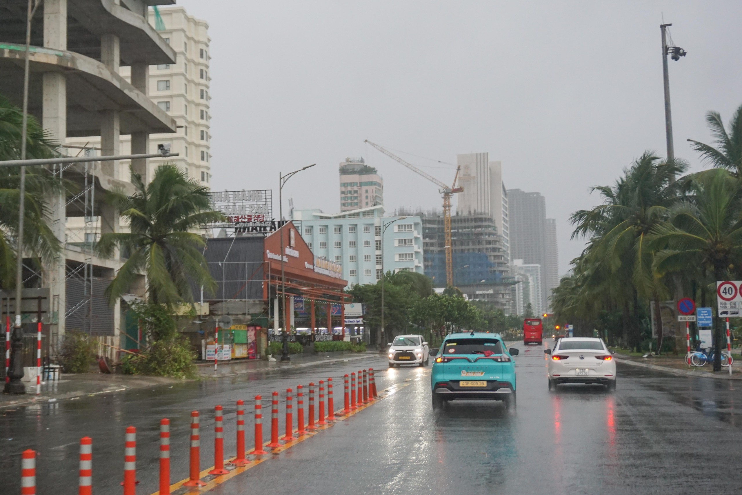 Bão Trà Mi: Đà Nẵng mưa lớn, gió mạnh khiến cây xanh ngã đổ hàng loạt- Ảnh 10.